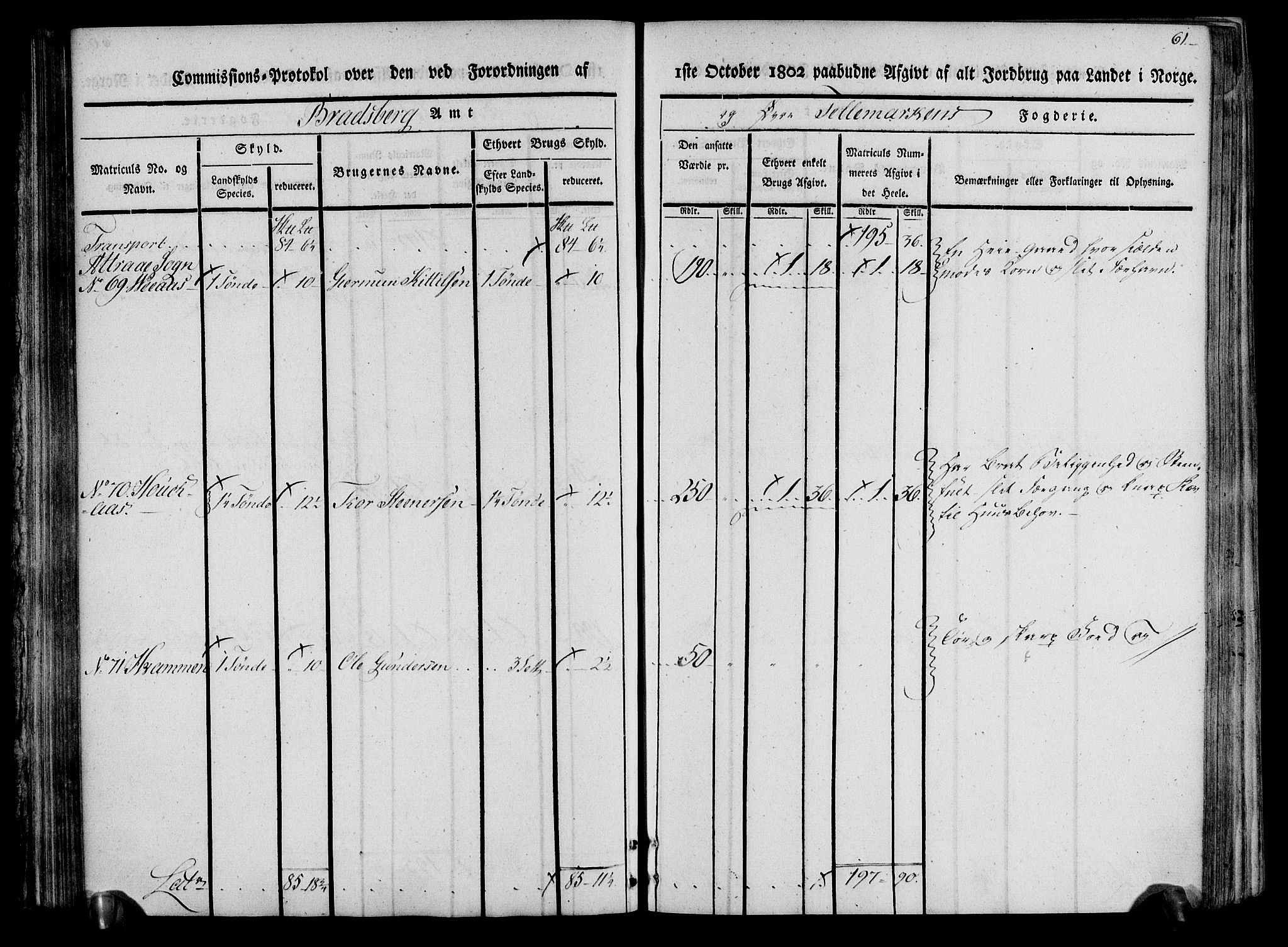 Rentekammeret inntil 1814, Realistisk ordnet avdeling, AV/RA-EA-4070/N/Ne/Nea/L0074: Øvre Telemarken fogderi. Kommisjonsprotokoll for fogderiets østre del - Tinn, Hjartdal og Seljord prestegjeld., 1803, s. 61