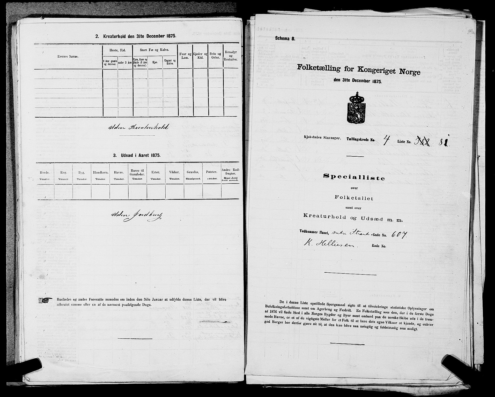 SAST, Folketelling 1875 for 1103 Stavanger kjøpstad, 1875, s. 819