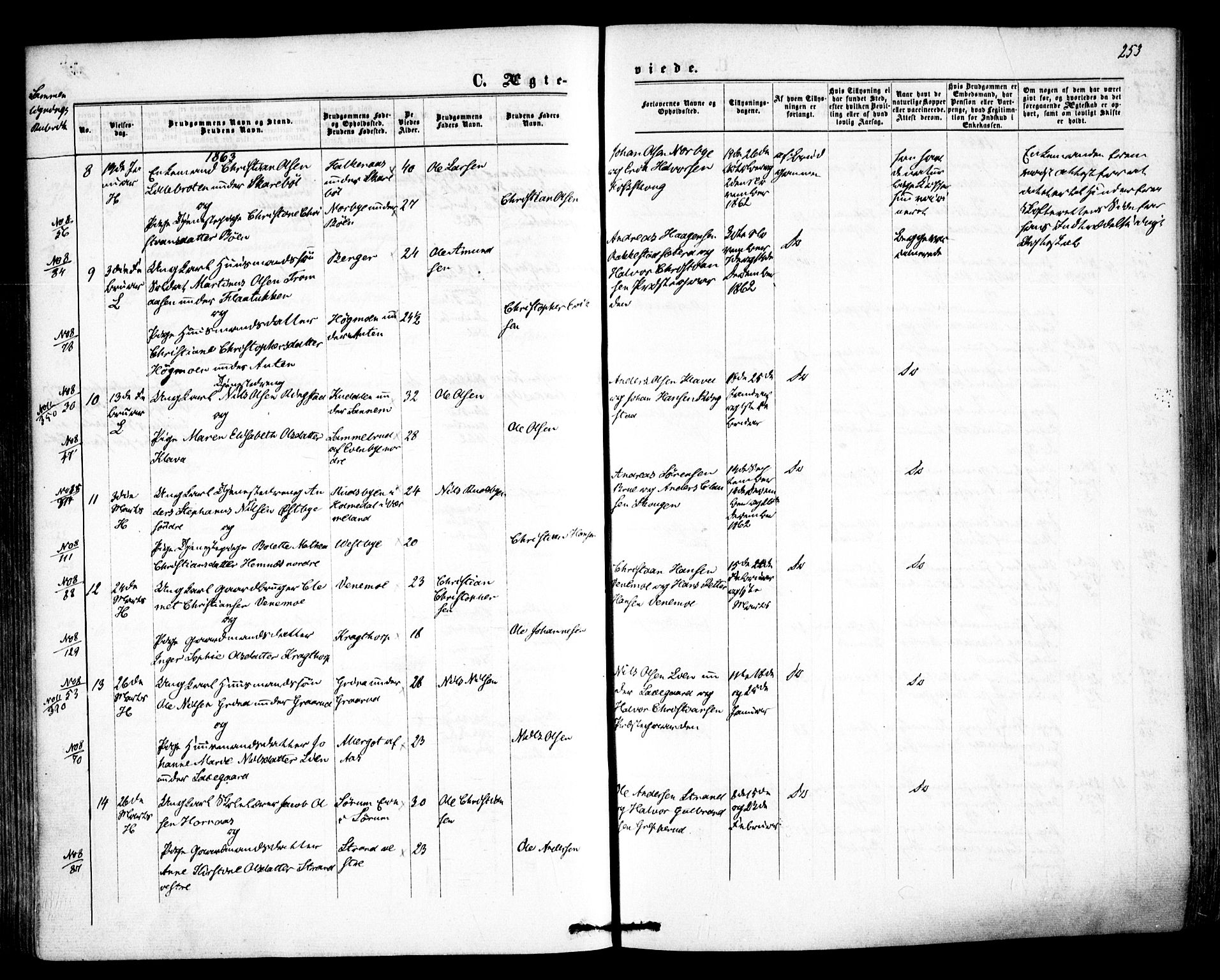 Høland prestekontor Kirkebøker, AV/SAO-A-10346a/F/Fa/L0011: Ministerialbok nr. I 11, 1862-1869, s. 253