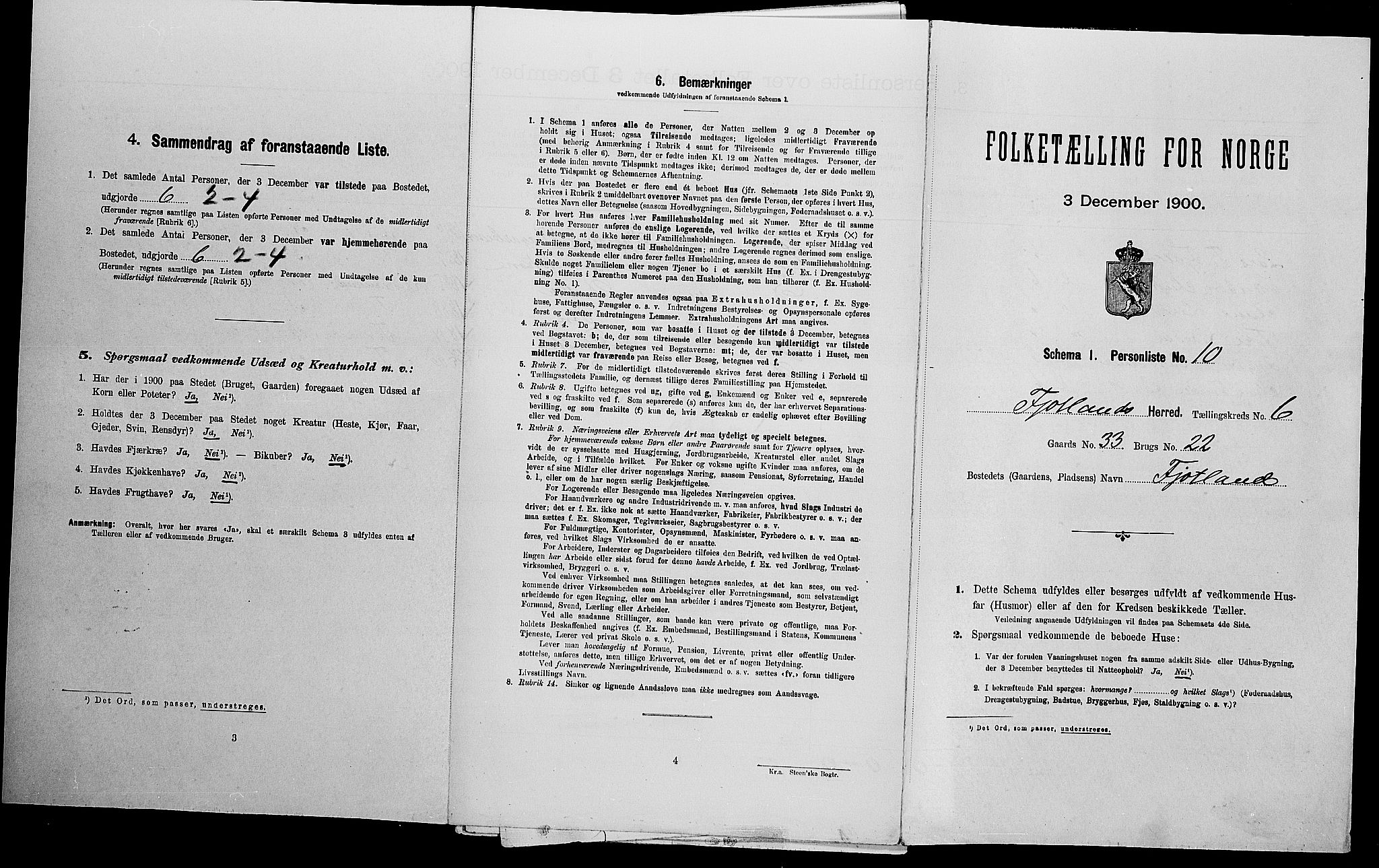 SAK, Folketelling 1900 for 1036 Fjotland herred, 1900, s. 246