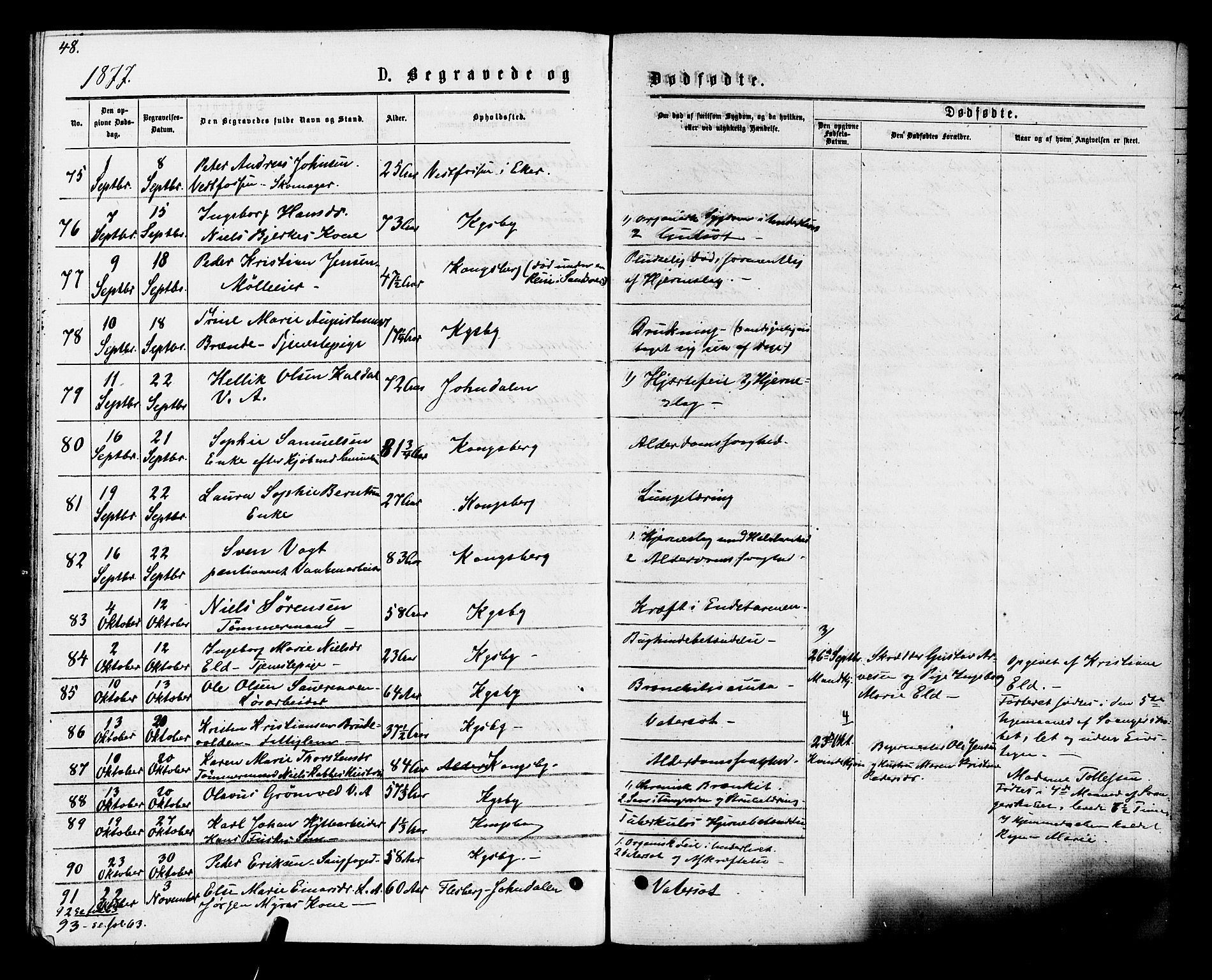 Kongsberg kirkebøker, AV/SAKO-A-22/F/Fa/L0011: Ministerialbok nr. I 11, 1876-1877, s. 48