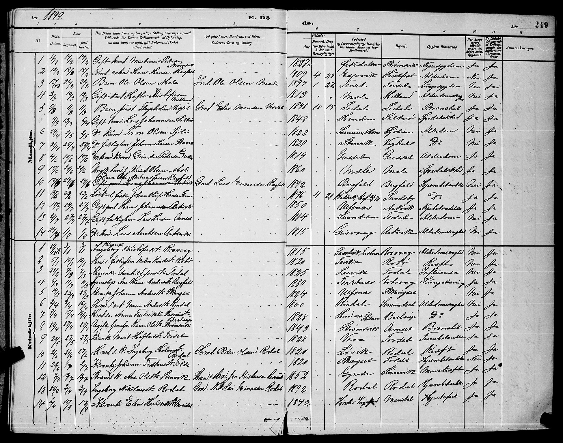 Ministerialprotokoller, klokkerbøker og fødselsregistre - Møre og Romsdal, AV/SAT-A-1454/578/L0909: Klokkerbok nr. 578C02, 1882-1900, s. 249