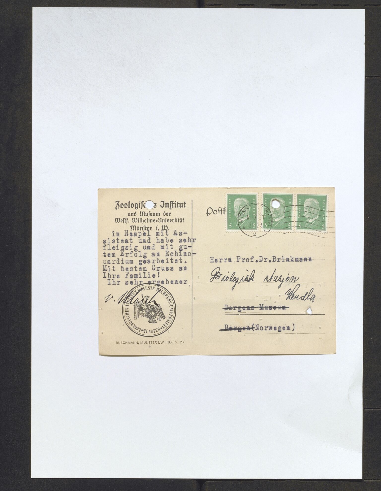 Bergens Museum, AV/SAB-A-17301/13/D/L0002: Korrespondanse , 1928-1940, s. 266