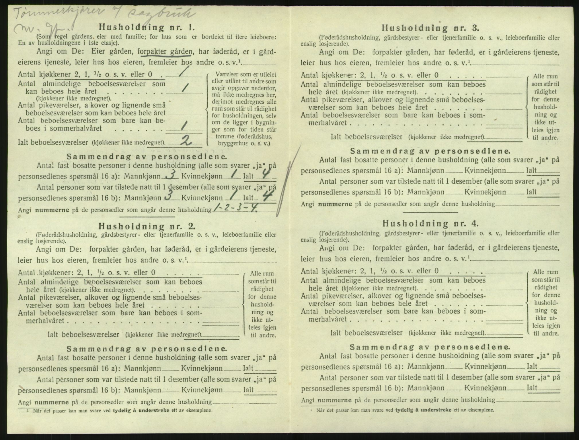 SAKO, Folketelling 1920 for 0727 Hedrum herred, 1920, s. 1262