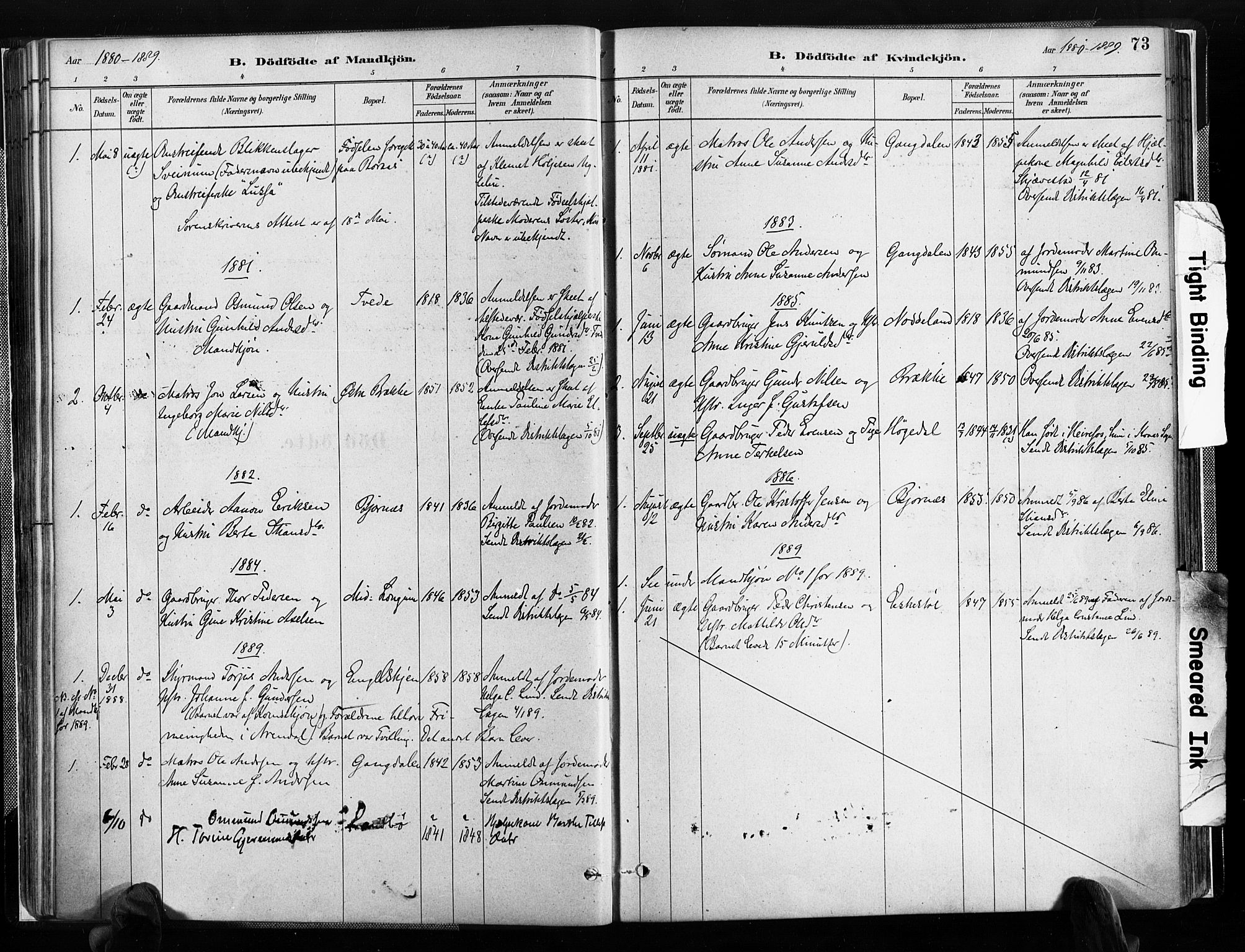 Austre Moland sokneprestkontor, AV/SAK-1111-0001/F/Fa/Faa/L0010: Ministerialbok nr. A 10, 1880-1904, s. 73