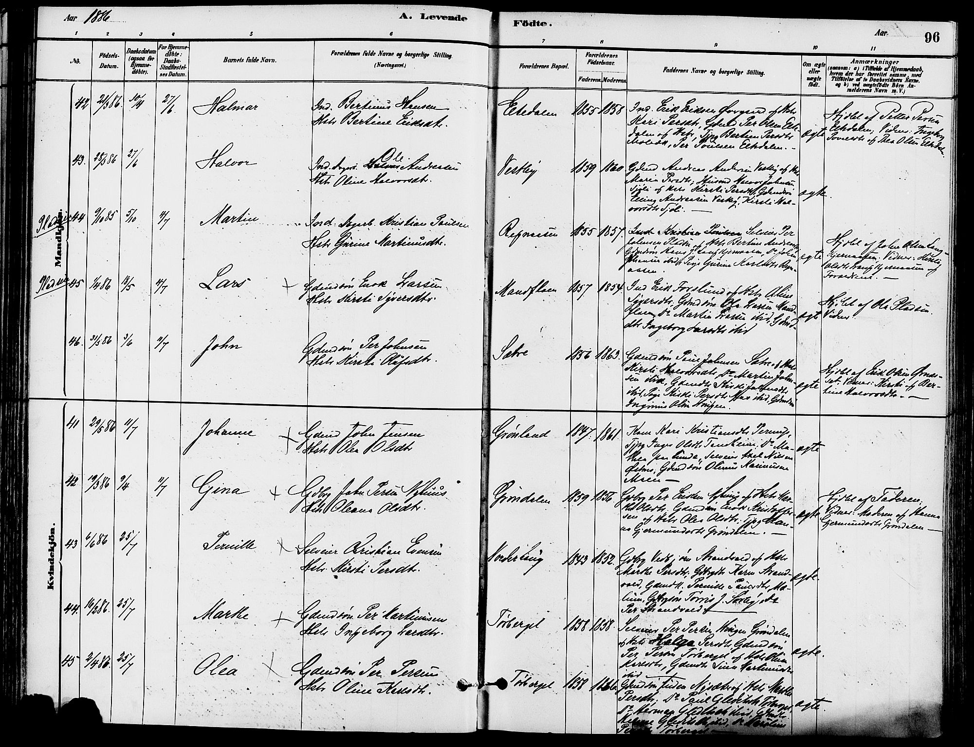 Trysil prestekontor, SAH/PREST-046/H/Ha/Haa/L0008: Ministerialbok nr. 8, 1881-1897, s. 96