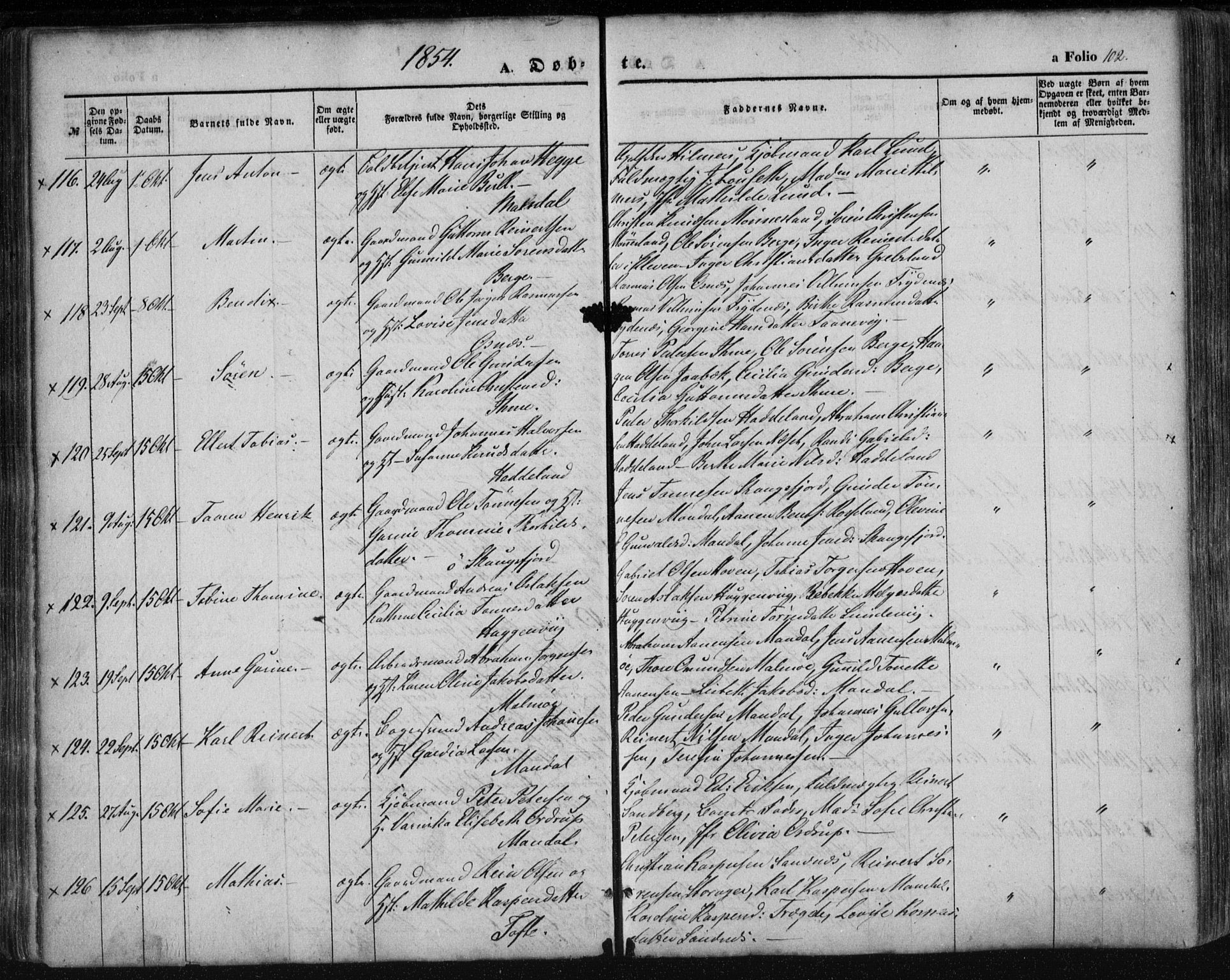 Mandal sokneprestkontor, AV/SAK-1111-0030/F/Fa/Faa/L0013: Ministerialbok nr. A 13, 1847-1859, s. 102
