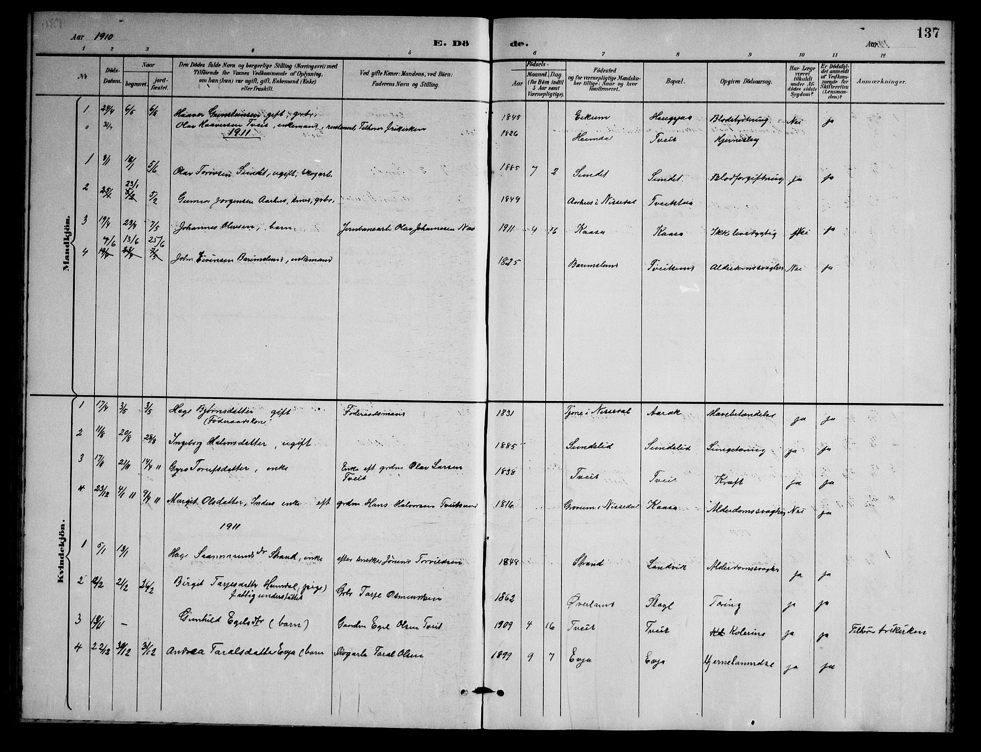 Nissedal kirkebøker, AV/SAKO-A-288/G/Gb/L0003: Klokkerbok nr. II 3, 1893-1928, s. 137