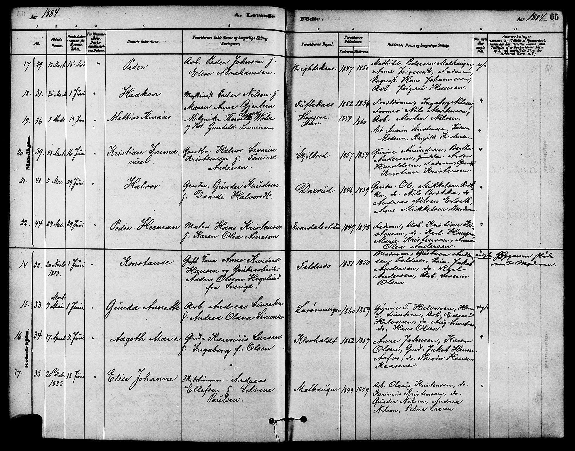 Solum kirkebøker, AV/SAKO-A-306/F/Fa/L0009: Ministerialbok nr. I 9, 1877-1887, s. 65
