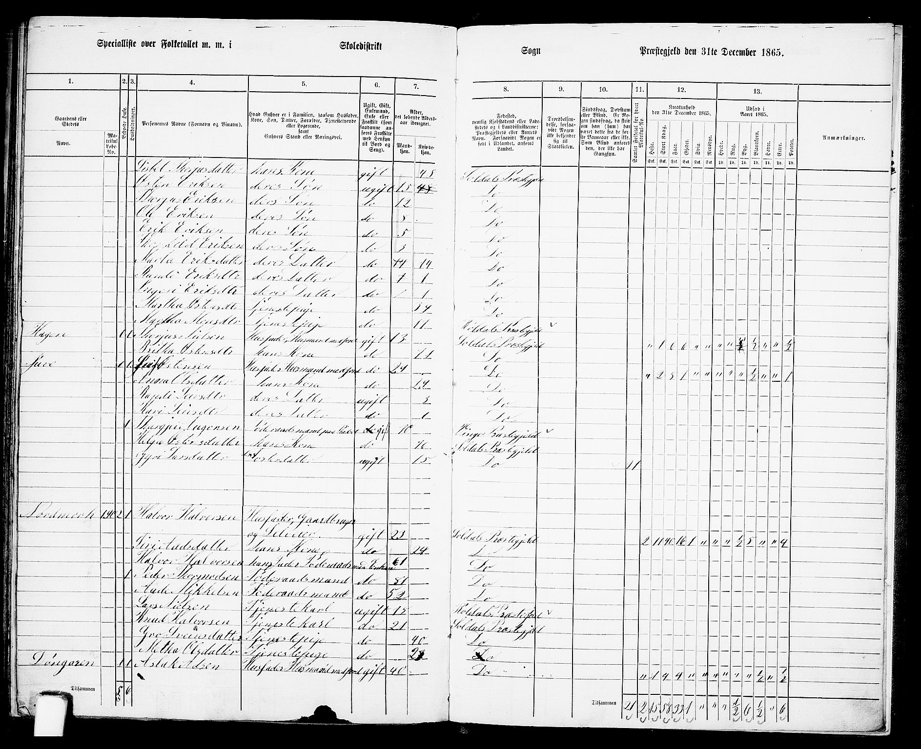 RA, Folketelling 1865 for 1134P Suldal prestegjeld, 1865, s. 125