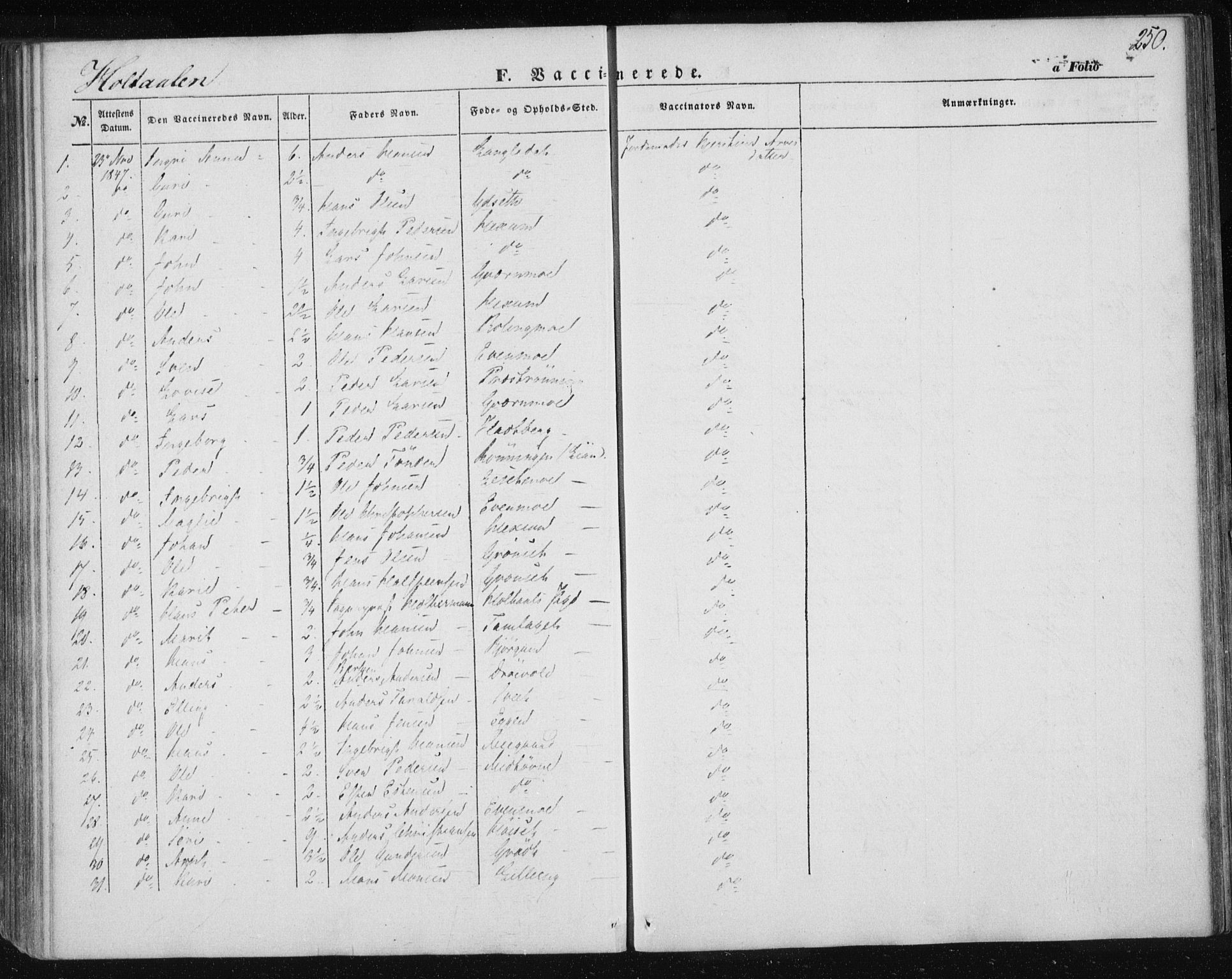 Ministerialprotokoller, klokkerbøker og fødselsregistre - Sør-Trøndelag, SAT/A-1456/685/L0963: Ministerialbok nr. 685A06 /1, 1846-1859, s. 250