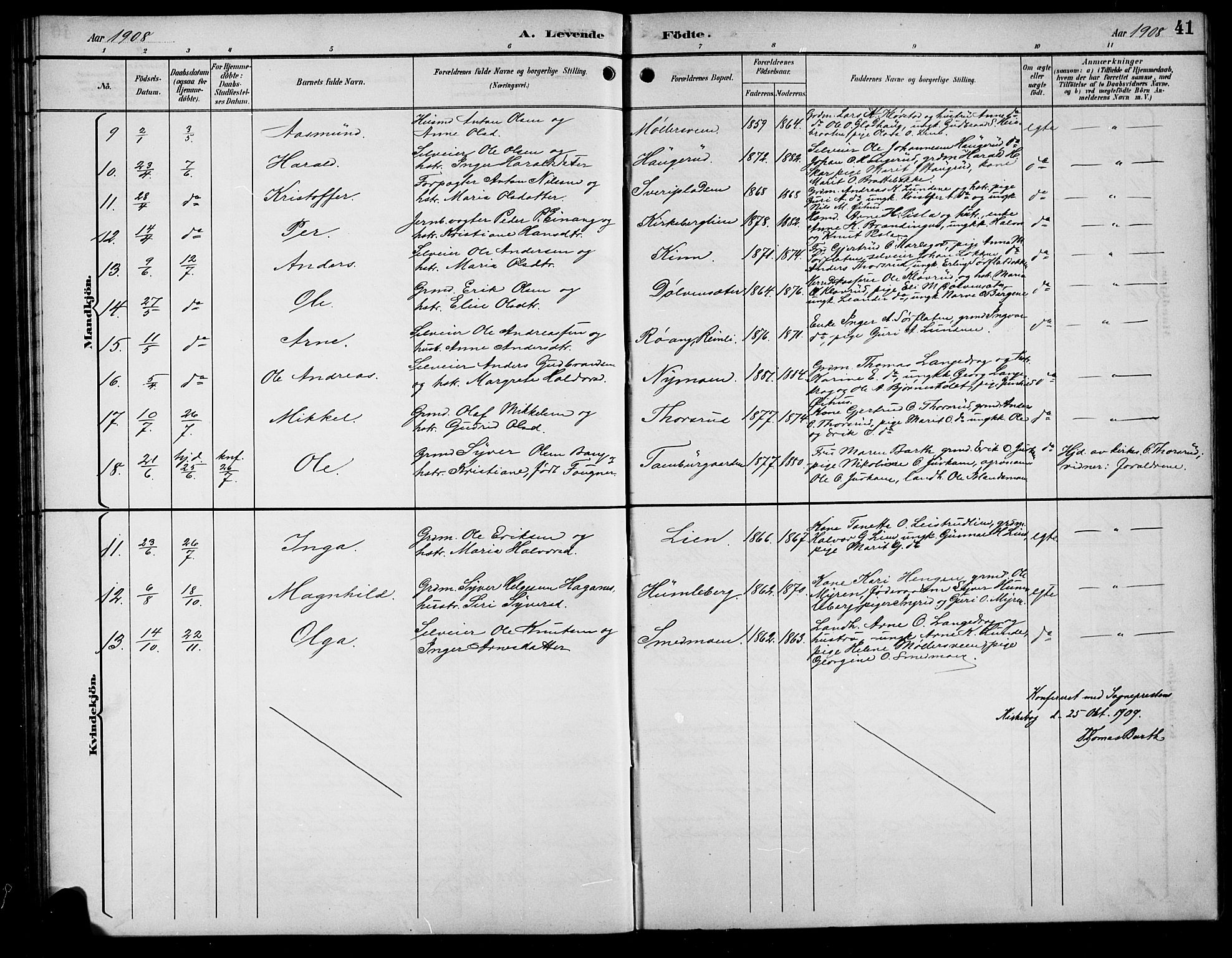 Sør-Aurdal prestekontor, AV/SAH-PREST-128/H/Ha/Hab/L0009: Klokkerbok nr. 9, 1894-1924, s. 41