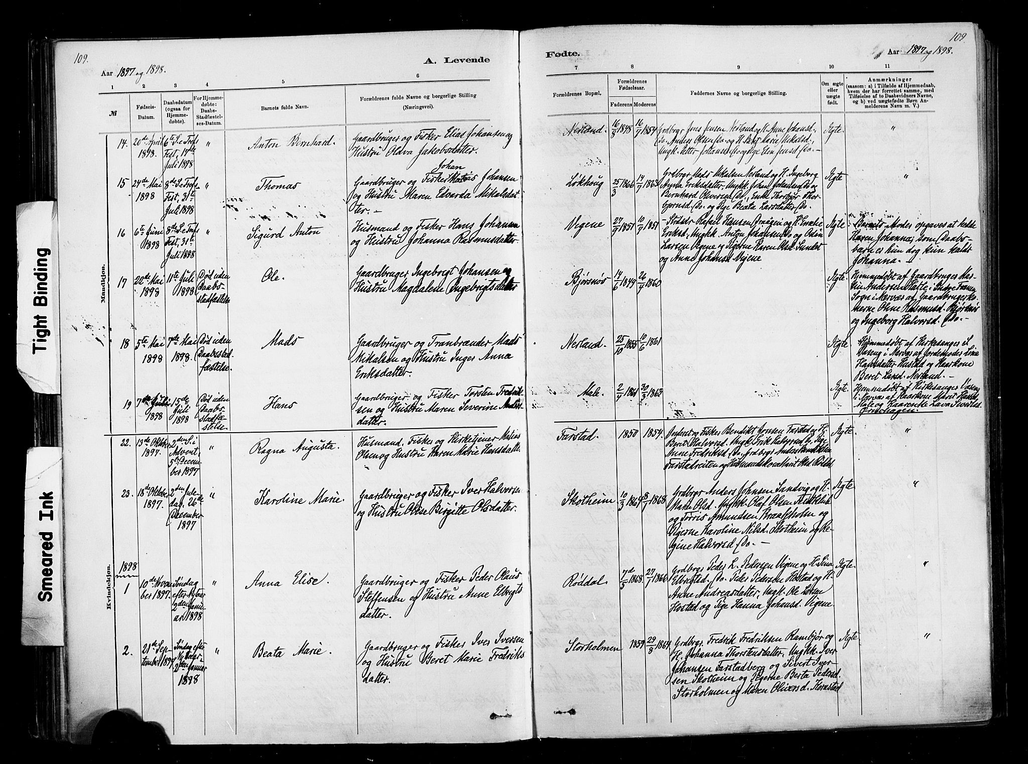 Ministerialprotokoller, klokkerbøker og fødselsregistre - Møre og Romsdal, AV/SAT-A-1454/567/L0778: Ministerialbok nr. 567A01, 1881-1903, s. 109