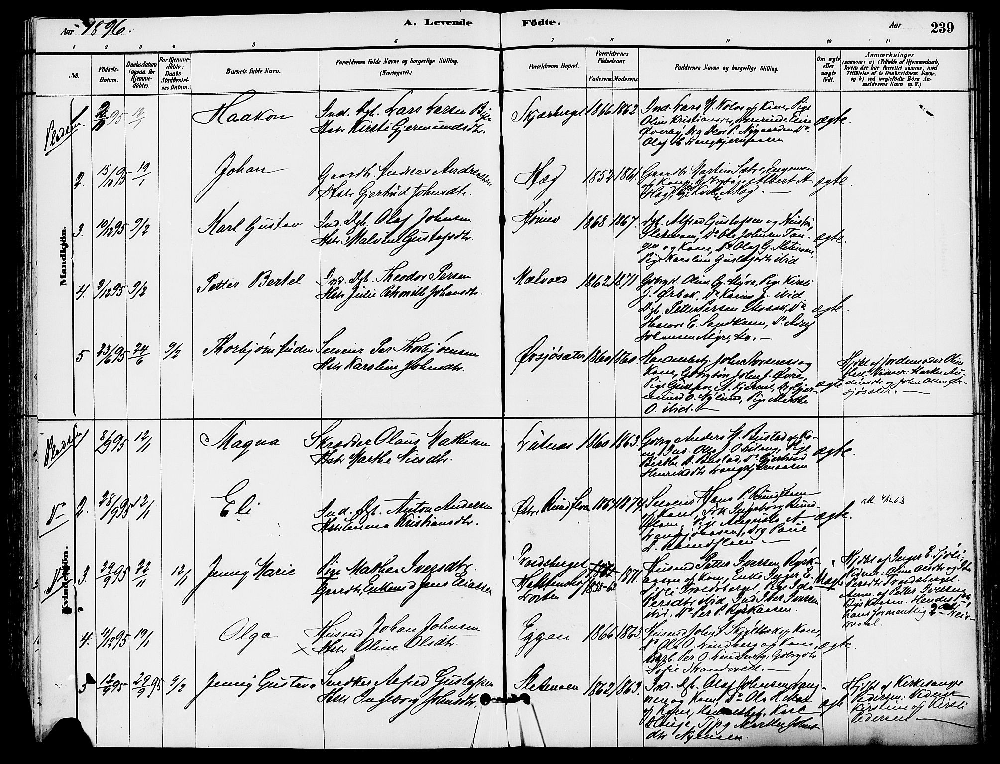 Trysil prestekontor, AV/SAH-PREST-046/H/Ha/Haa/L0008: Ministerialbok nr. 8, 1881-1897, s. 239