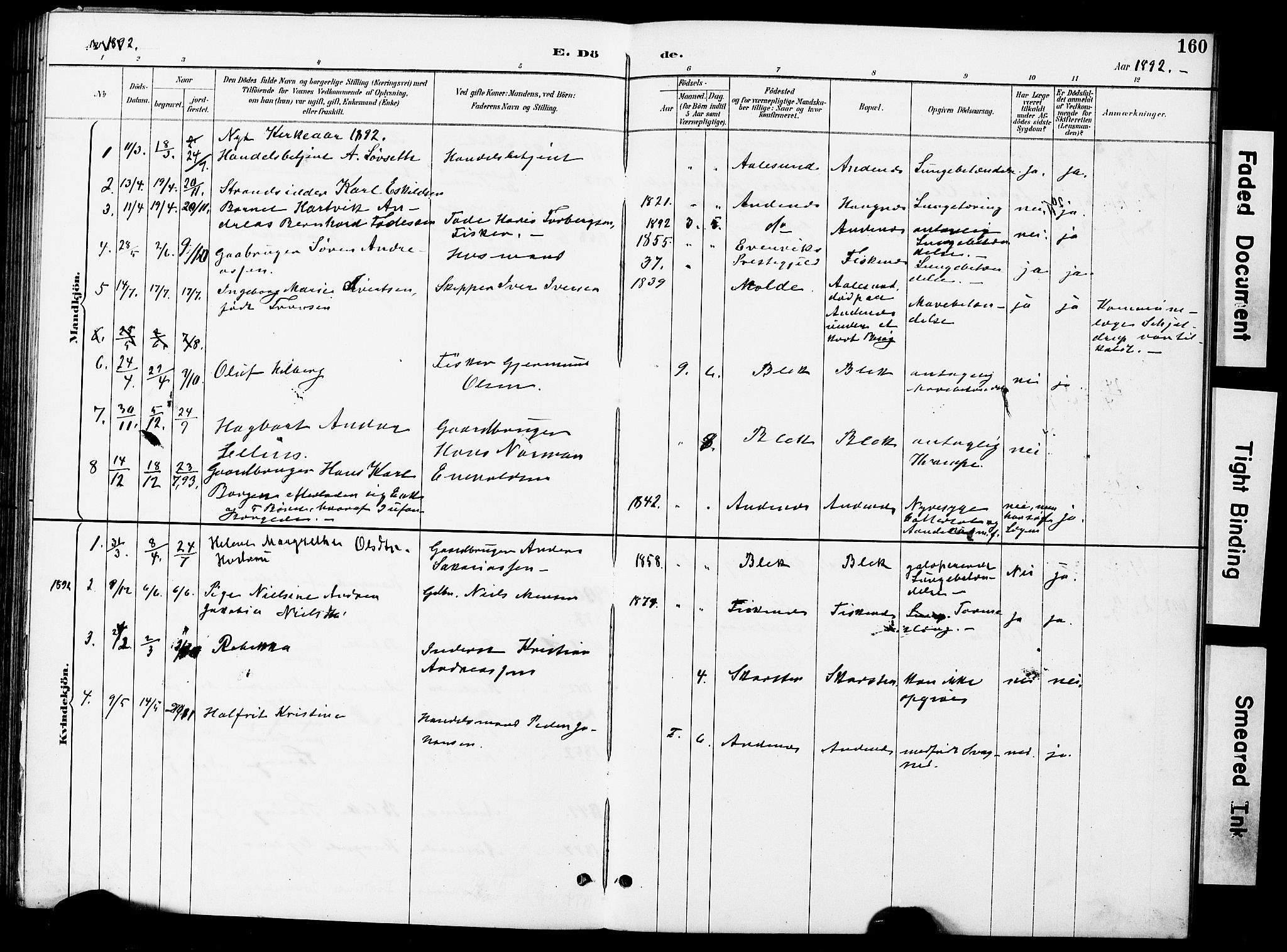 Ministerialprotokoller, klokkerbøker og fødselsregistre - Nordland, SAT/A-1459/899/L1448: Klokkerbok nr. 899C03, 1887-1902, s. 160