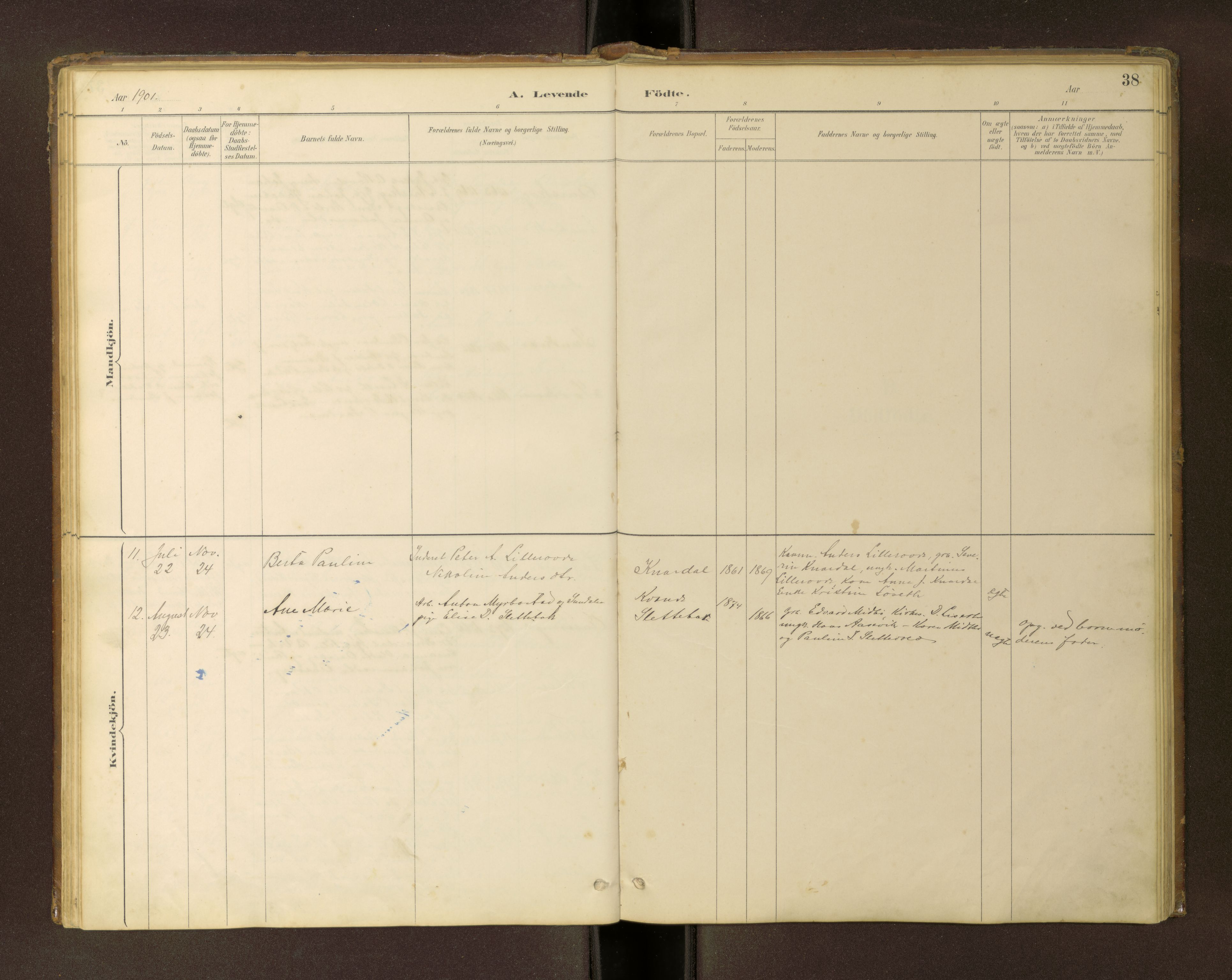 Ministerialprotokoller, klokkerbøker og fødselsregistre - Møre og Romsdal, SAT/A-1454/504/L0060: Klokkerbok nr. 504C02, 1884-1903, s. 38