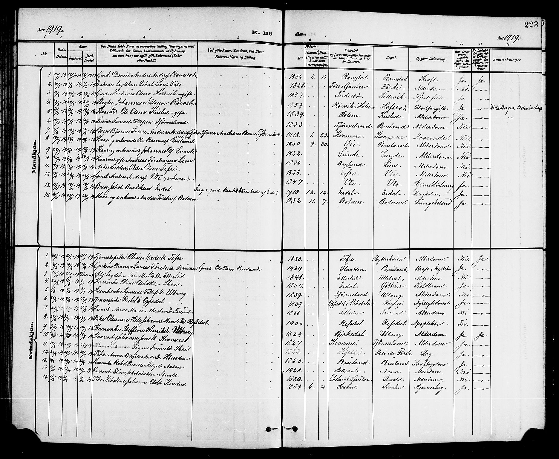 Førde sokneprestembete, SAB/A-79901/H/Hab/Haba/L0003: Klokkerbok nr. A 3, 1899-1924, s. 223