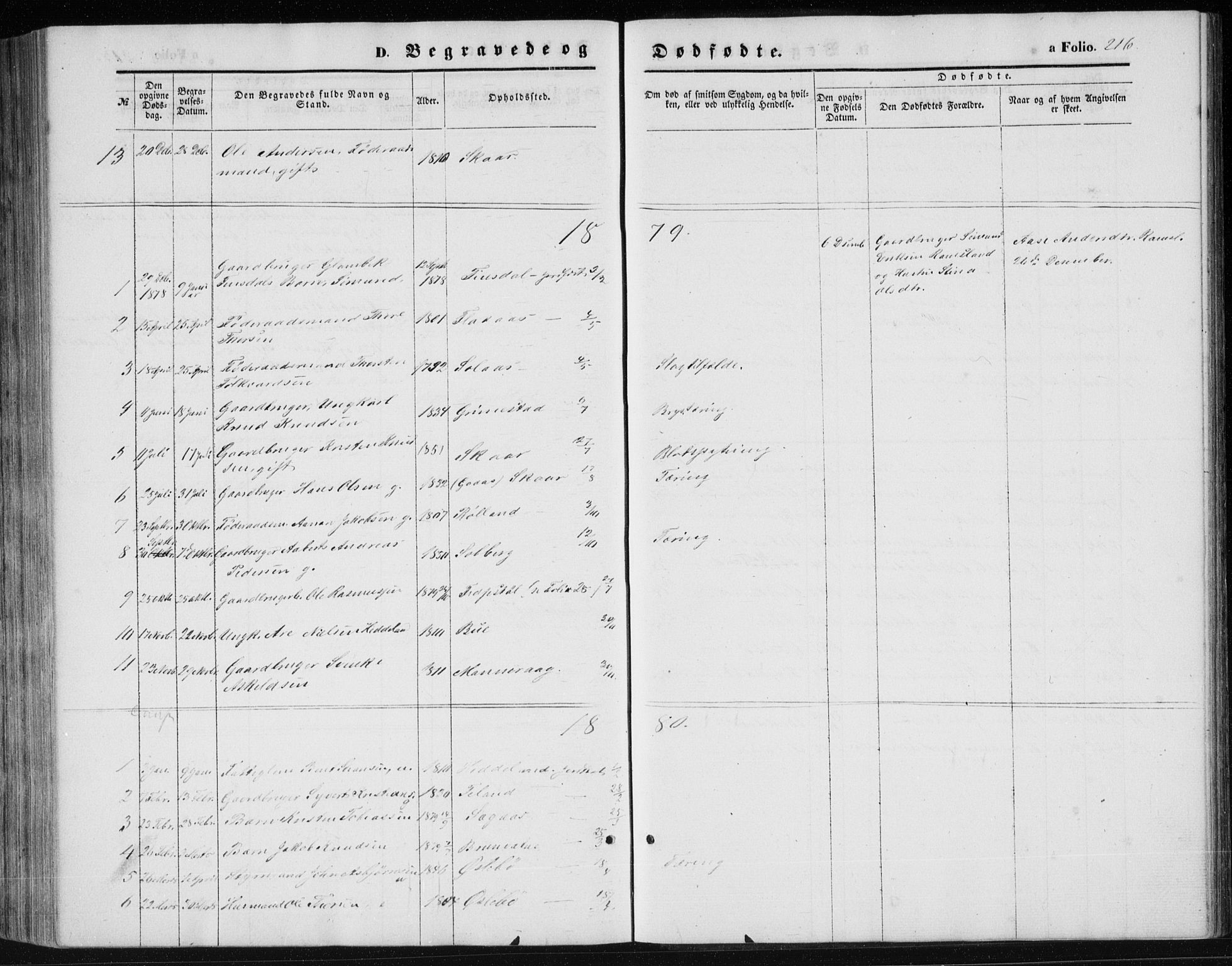 Holum sokneprestkontor, SAK/1111-0022/F/Fb/Fbc/L0002: Klokkerbok nr. B 2, 1860-1882, s. 216