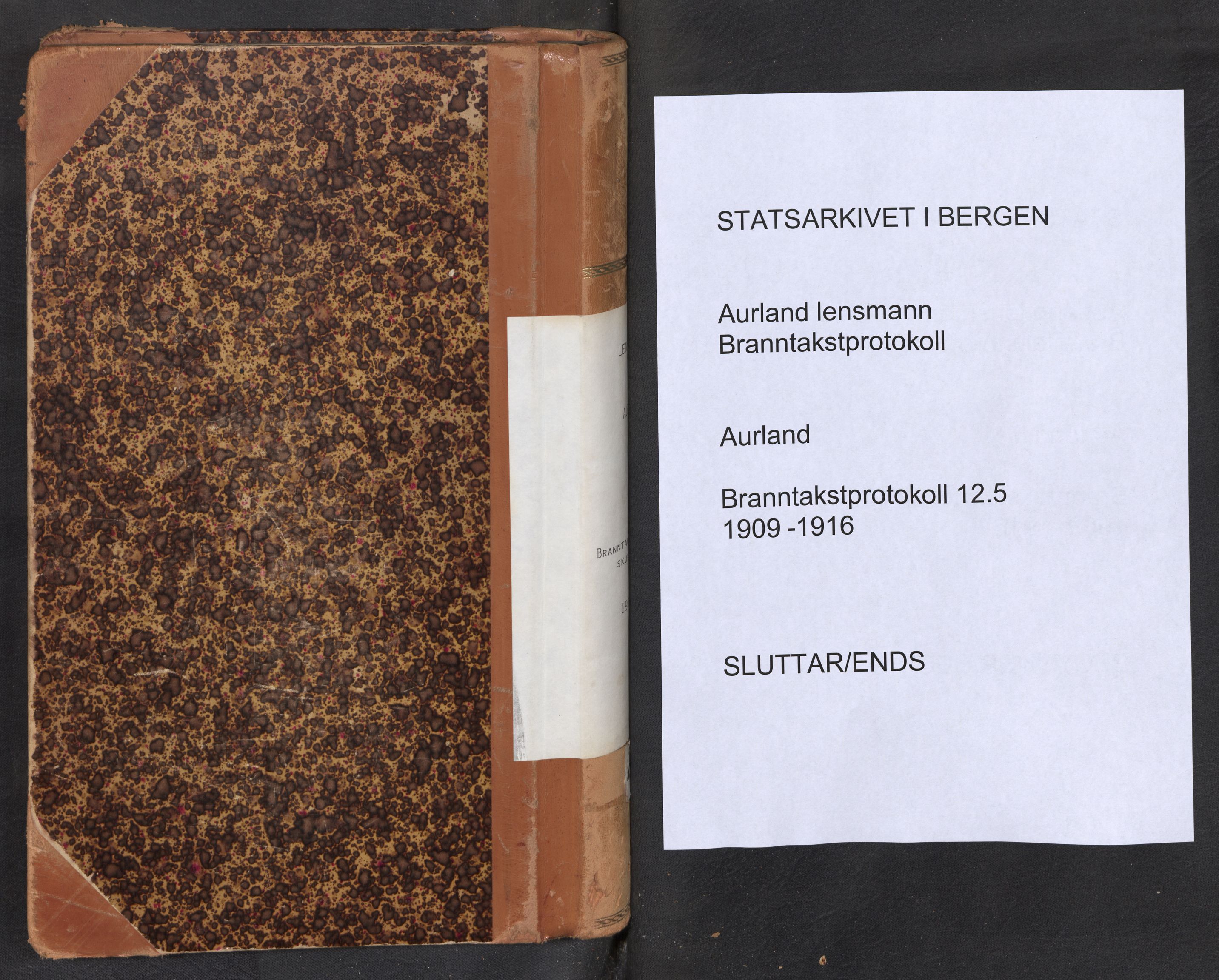 Lensmannen i Aurland, SAB/A-26401/0012/L0005: Branntakstprotokoll, skjematakst, 1909-1916
