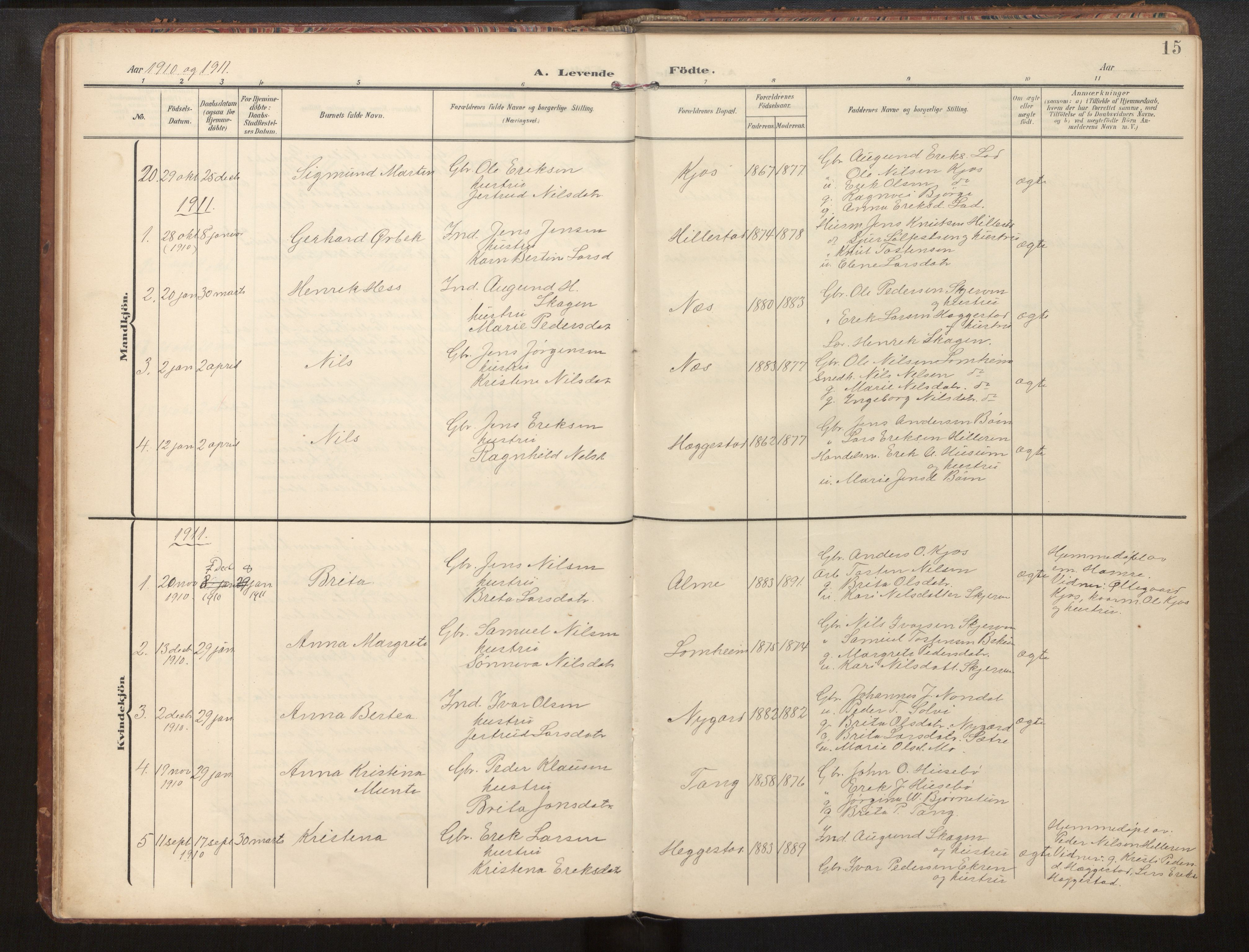 Hafslo sokneprestembete, AV/SAB-A-80301/H/Hab/Habb/L0002: Klokkerbok nr. B 2, 1909-1947, s. 15