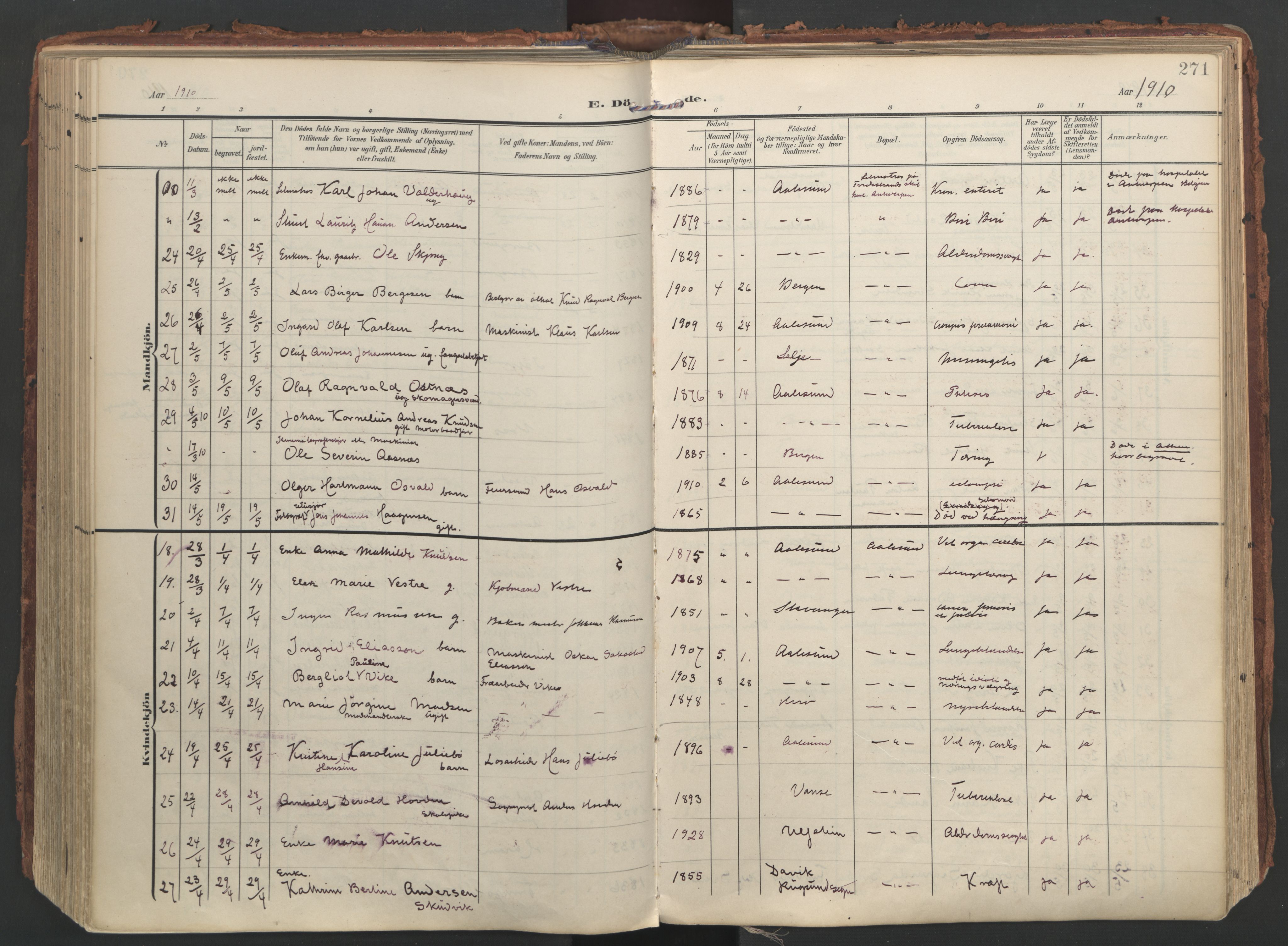 Ministerialprotokoller, klokkerbøker og fødselsregistre - Møre og Romsdal, AV/SAT-A-1454/529/L0459: Ministerialbok nr. 529A09, 1904-1917, s. 271