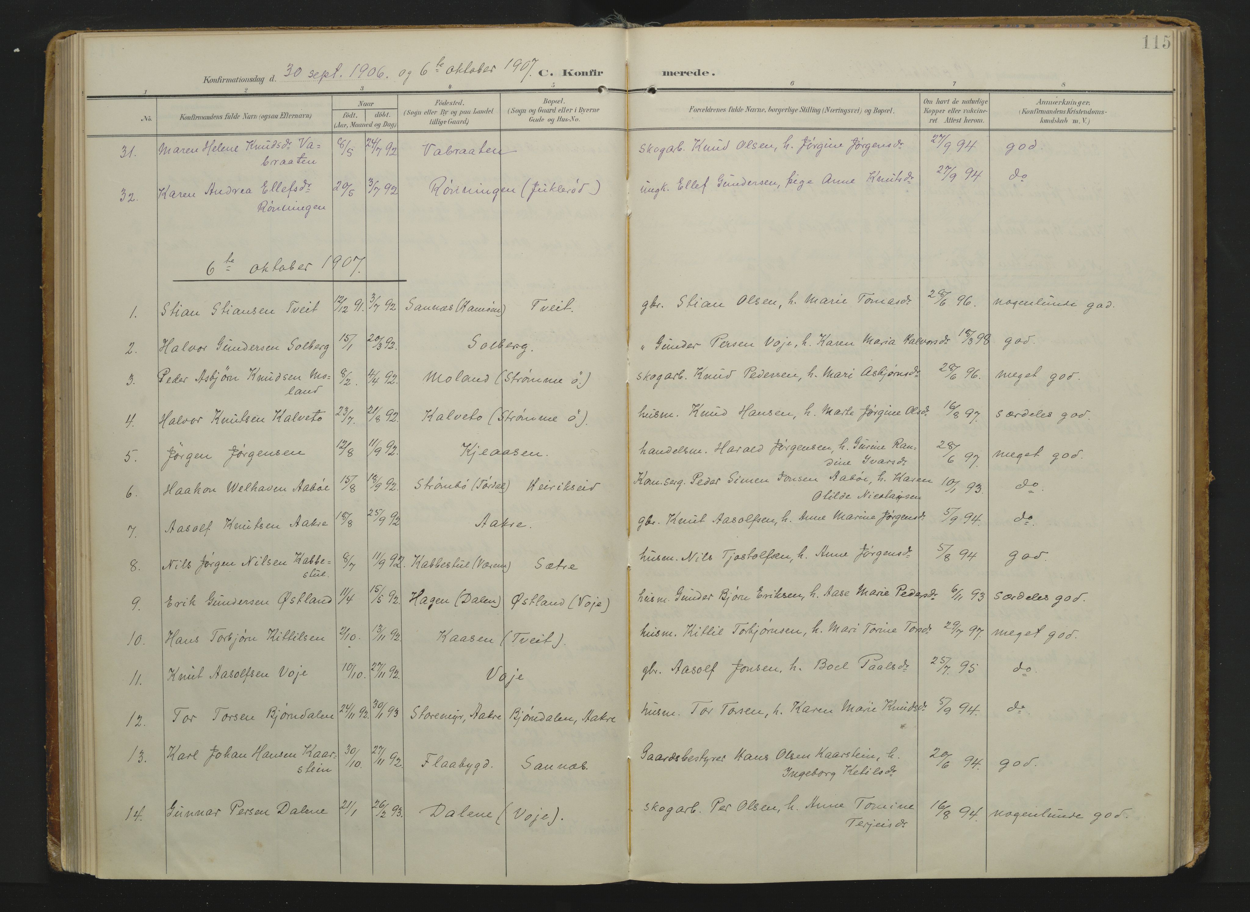 Drangedal kirkebøker, AV/SAKO-A-258/F/Fa/L0014: Ministerialbok nr. 14, 1906-1920, s. 115