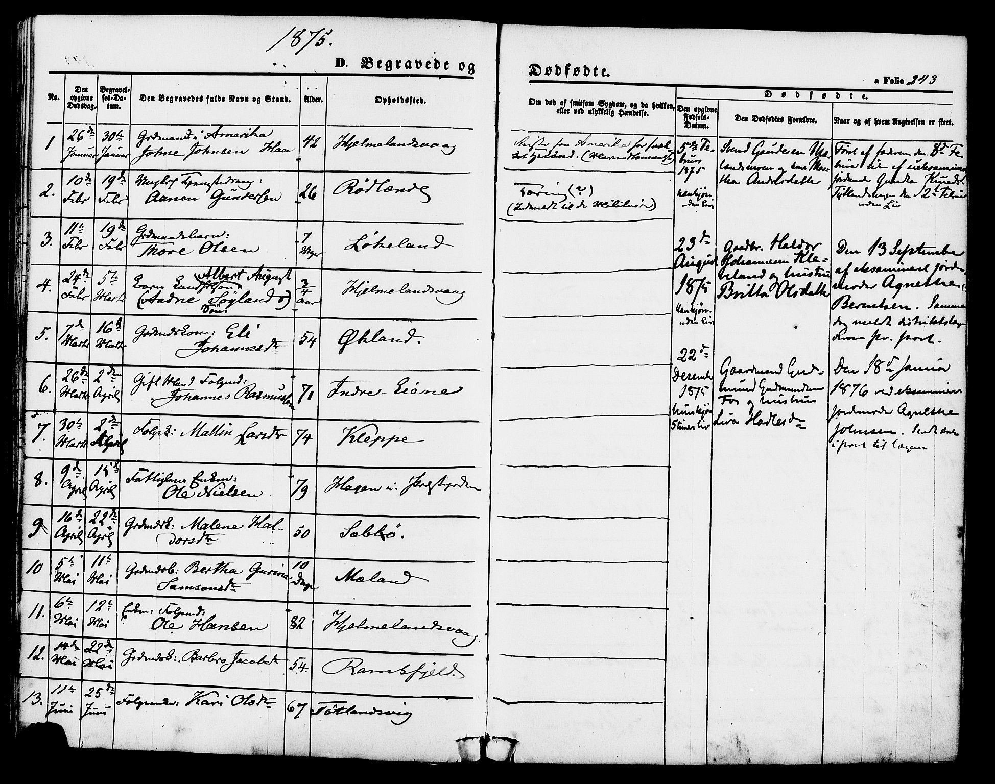 Hjelmeland sokneprestkontor, AV/SAST-A-101843/01/IV/L0011: Ministerialbok nr. A 11, 1861-1878, s. 243