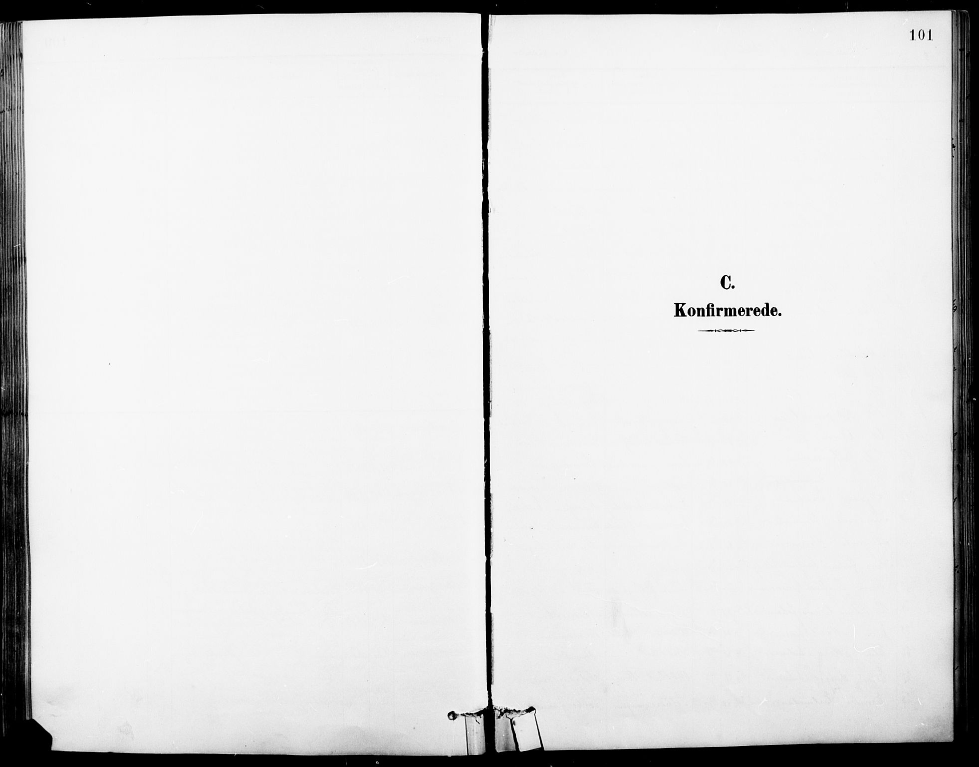 Vinger prestekontor, SAH/PREST-024/H/Ha/Hab/L0004: Klokkerbok nr. 4, 1895-1920, s. 101