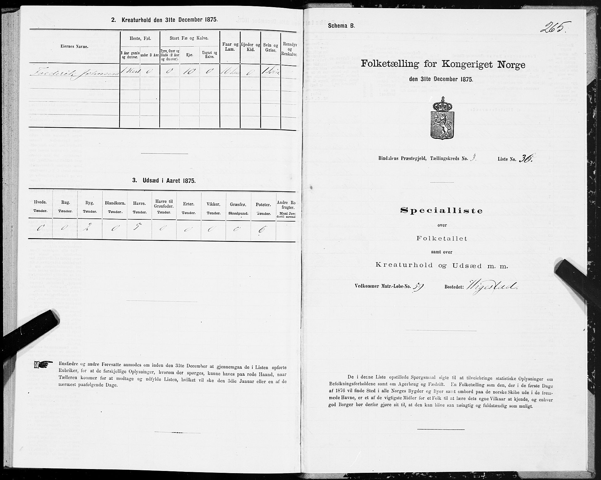 SAT, Folketelling 1875 for 1811P Bindal prestegjeld, 1875, s. 1265