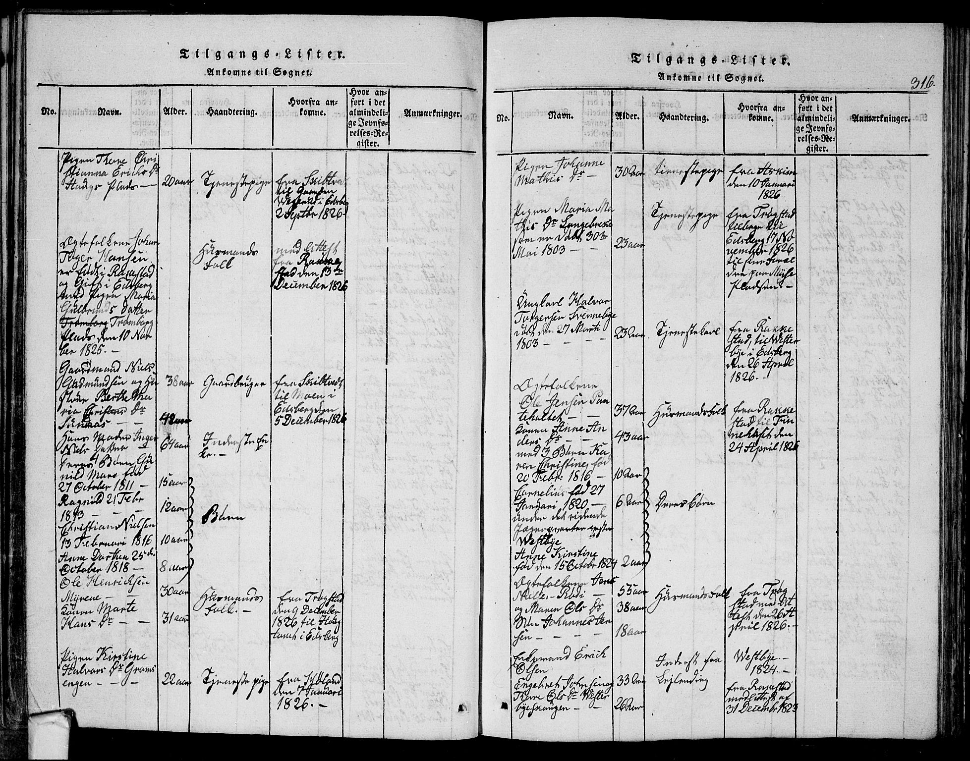 Eidsberg prestekontor Kirkebøker, AV/SAO-A-10905/G/Ga/L0001: Klokkerbok nr. I 1, 1814-1831, s. 316