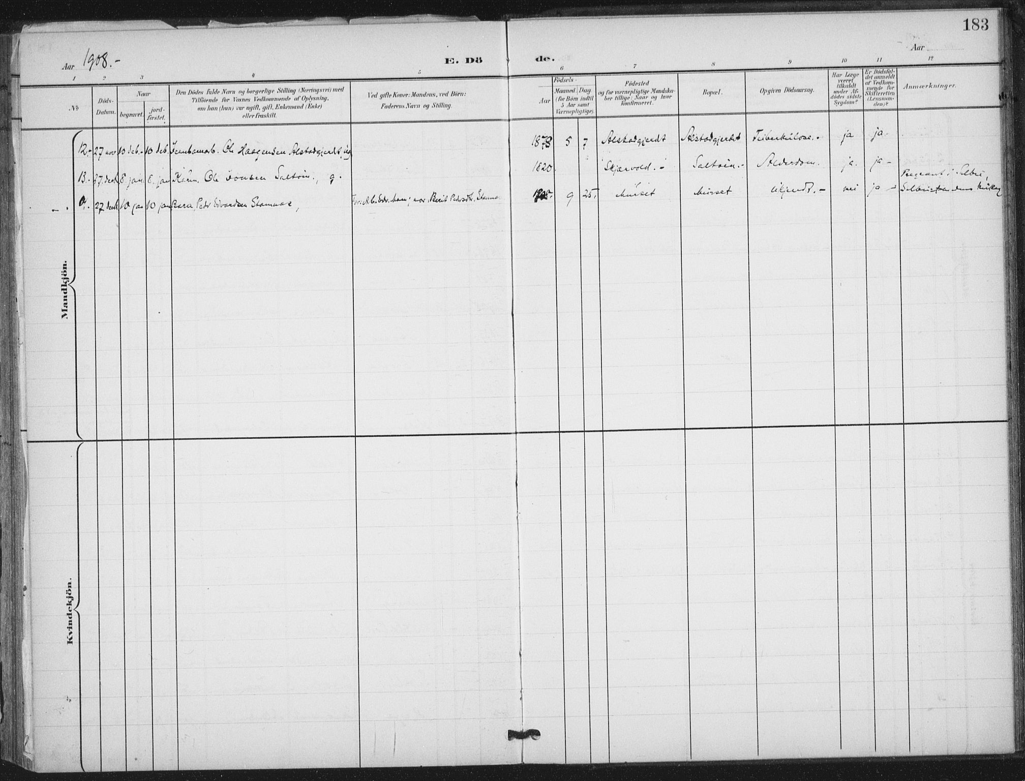 Ministerialprotokoller, klokkerbøker og fødselsregistre - Nord-Trøndelag, SAT/A-1458/712/L0101: Ministerialbok nr. 712A02, 1901-1916, s. 183