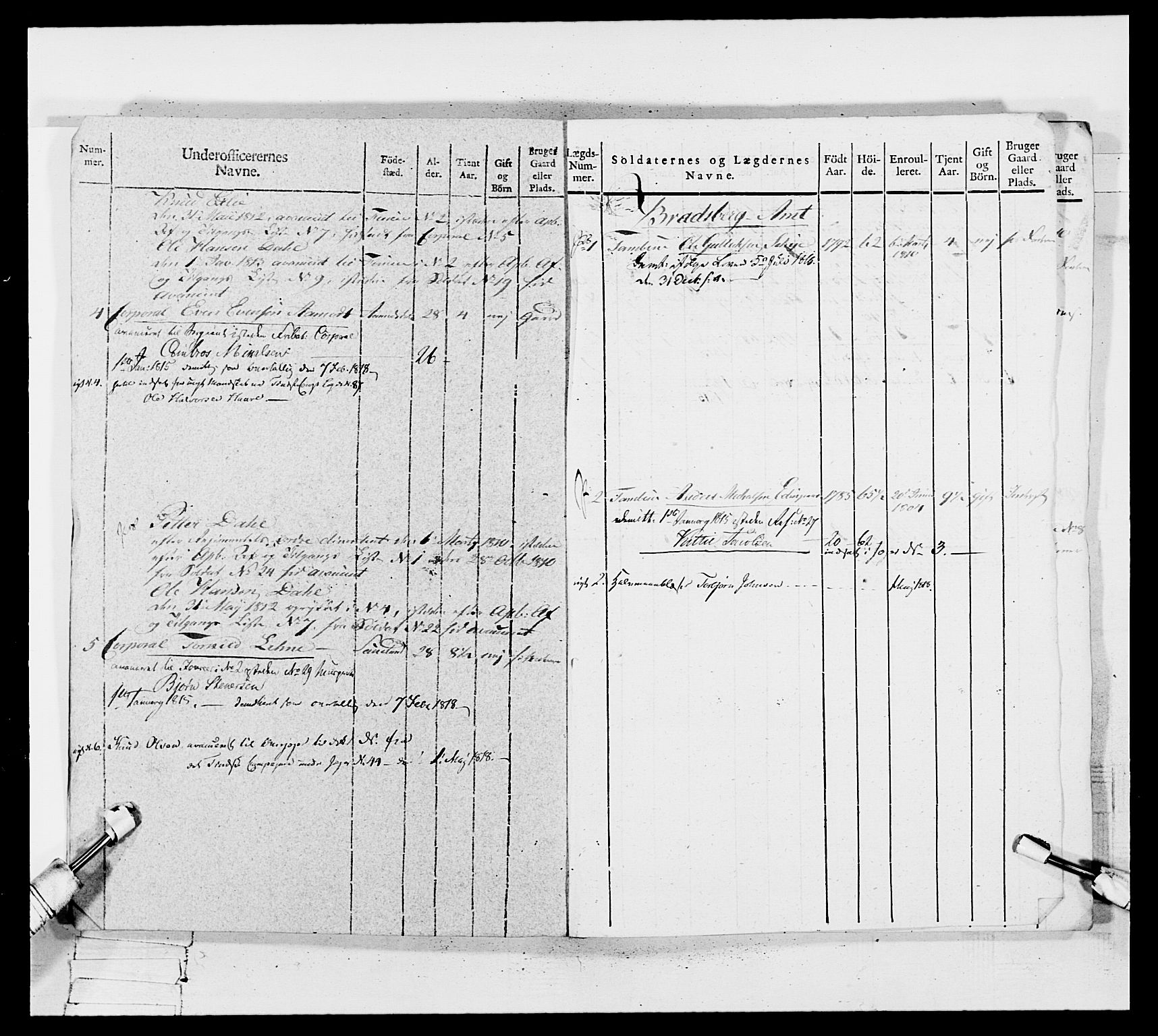 Generalitets- og kommissariatskollegiet, Det kongelige norske kommissariatskollegium, AV/RA-EA-5420/E/Eh/L0117: Telemarkske nasjonale infanteriregiment, 1812-1814, s. 219