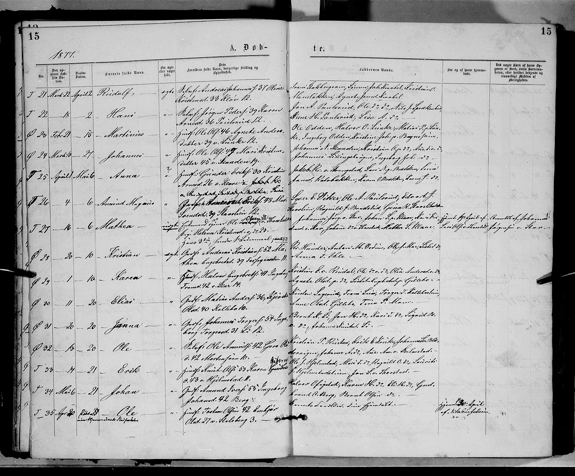 Øyer prestekontor, AV/SAH-PREST-084/H/Ha/Haa/L0007: Ministerialbok nr. 7, 1875-1878, s. 15