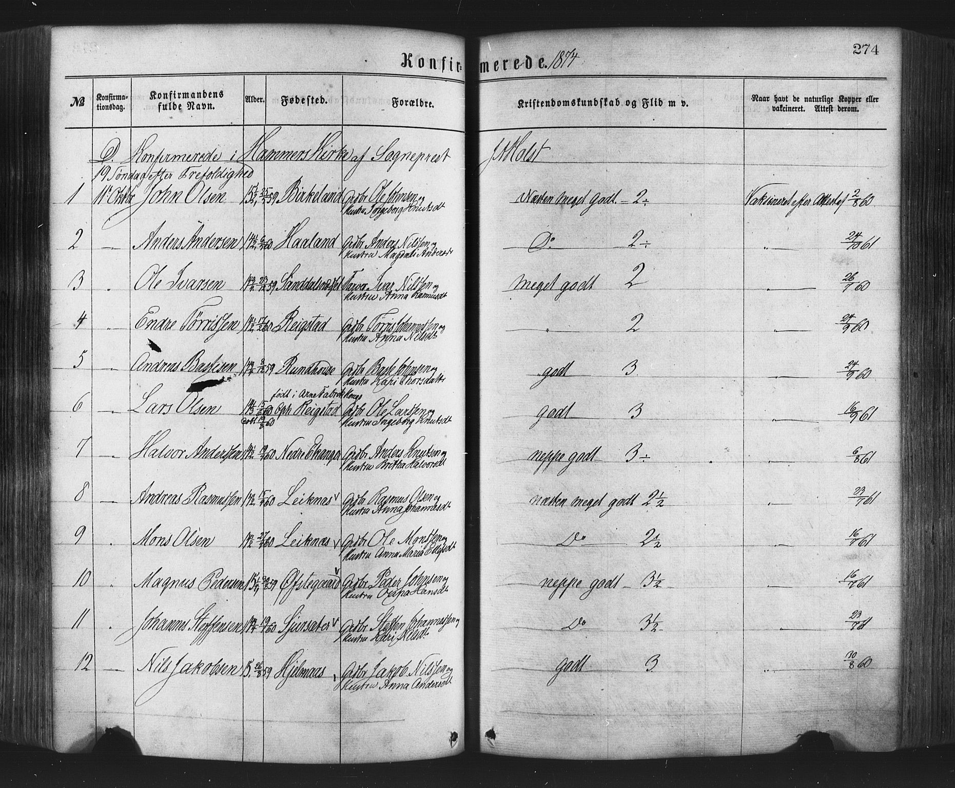 Hamre sokneprestembete, AV/SAB-A-75501/H/Ha/Haa/Haaa/L0015: Ministerialbok nr. A 15, 1870-1881, s. 274