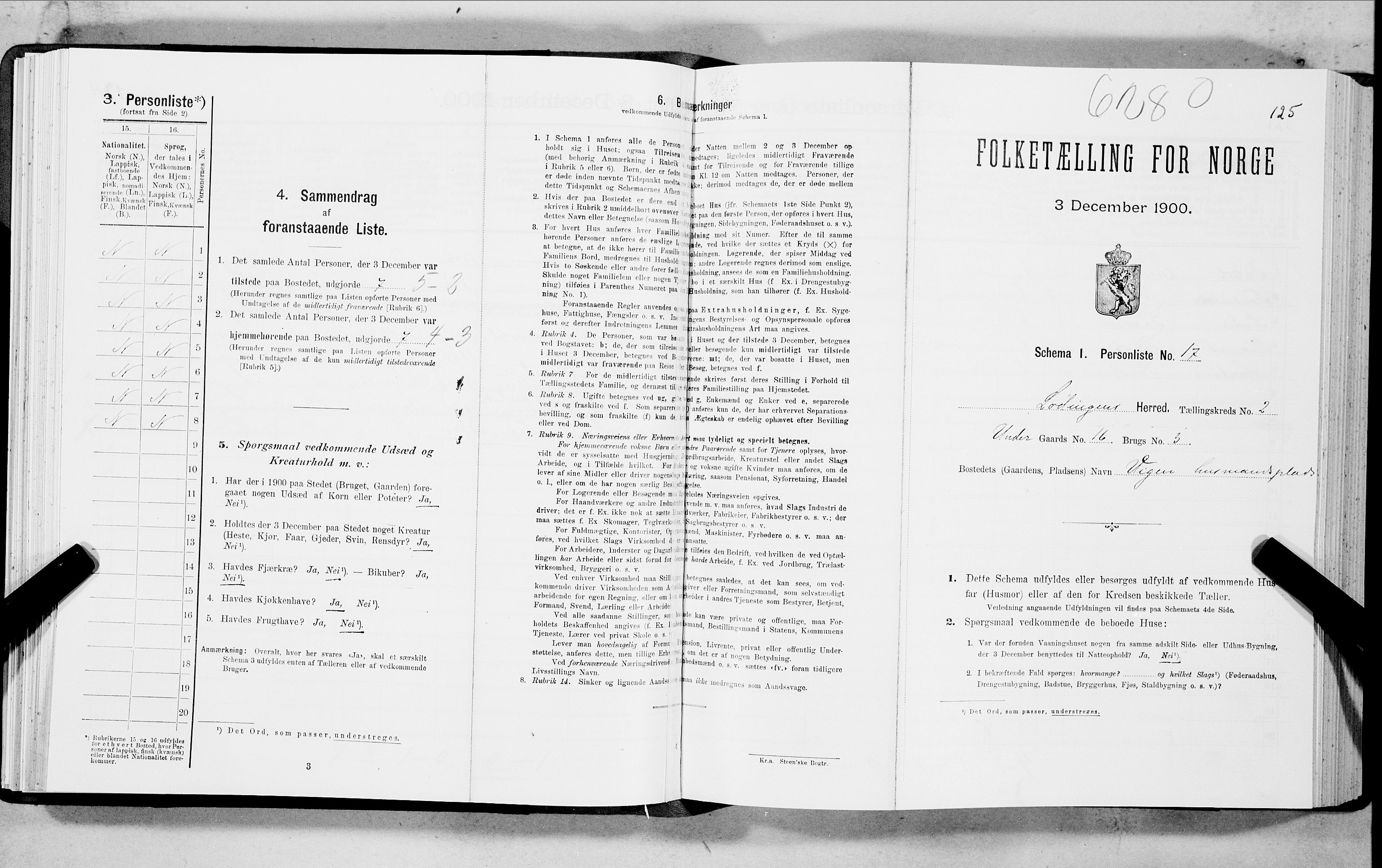 SAT, Folketelling 1900 for 1851 Lødingen herred, 1900, s. 125