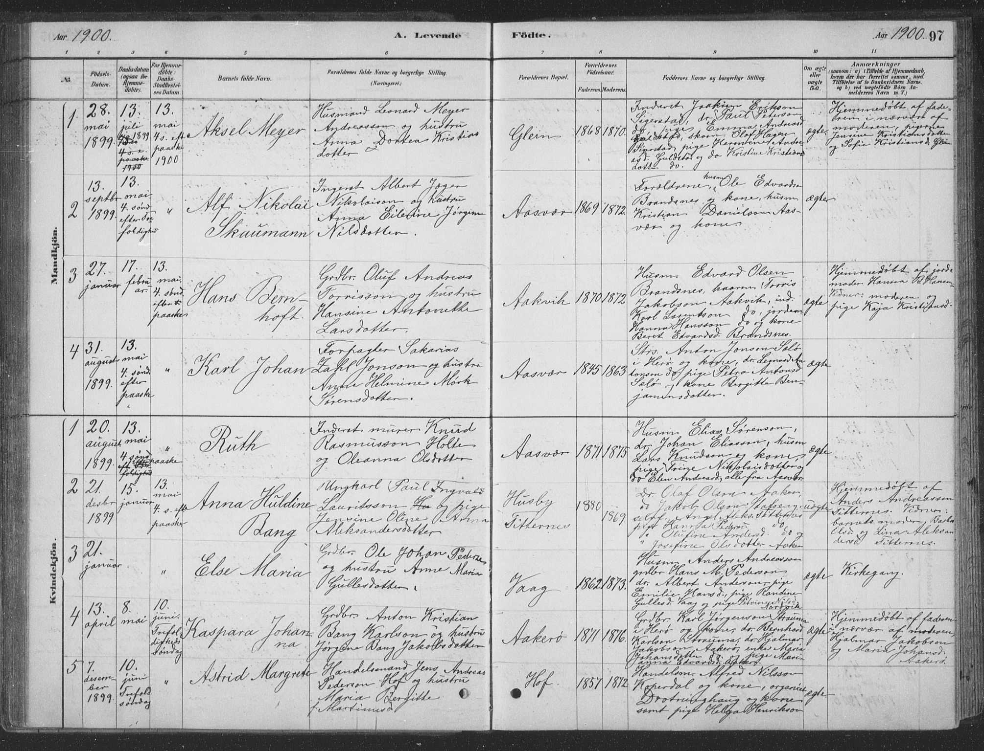 Ministerialprotokoller, klokkerbøker og fødselsregistre - Nordland, AV/SAT-A-1459/835/L0532: Klokkerbok nr. 835C04, 1880-1905, s. 97