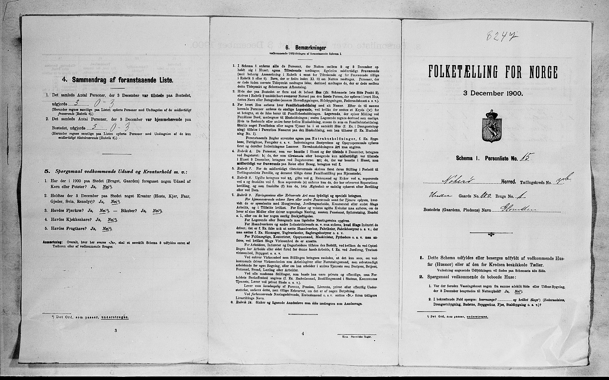 RA, Folketelling 1900 for 0722 Nøtterøy herred, 1900, s. 2242