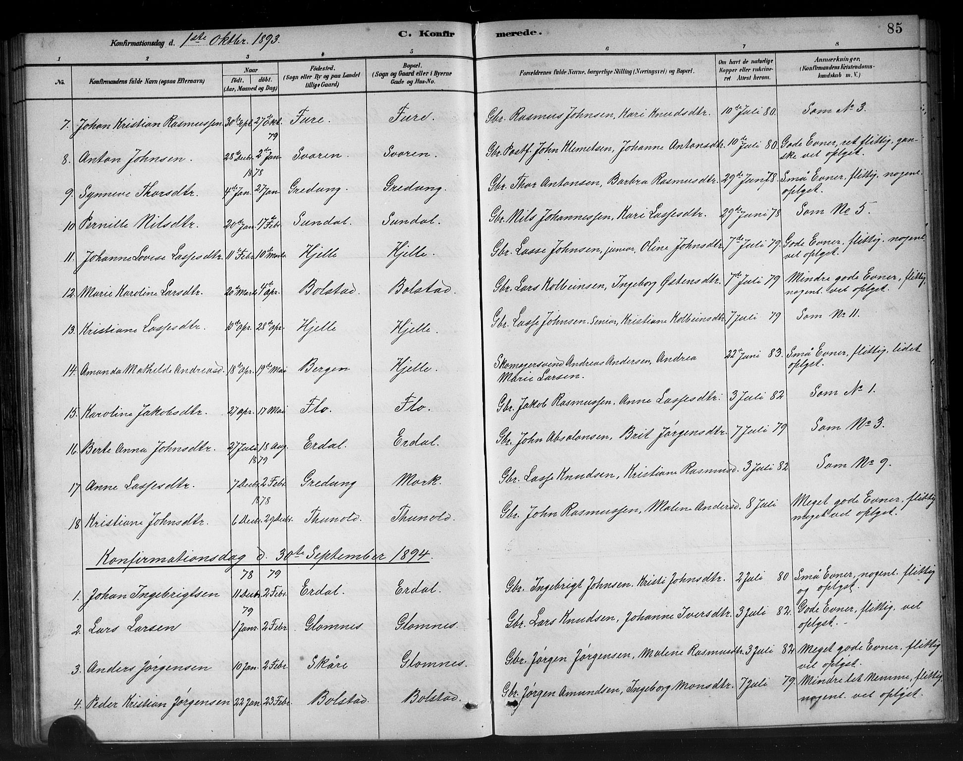Stryn Sokneprestembete, AV/SAB-A-82501: Klokkerbok nr. C 3, 1881-1905, s. 85