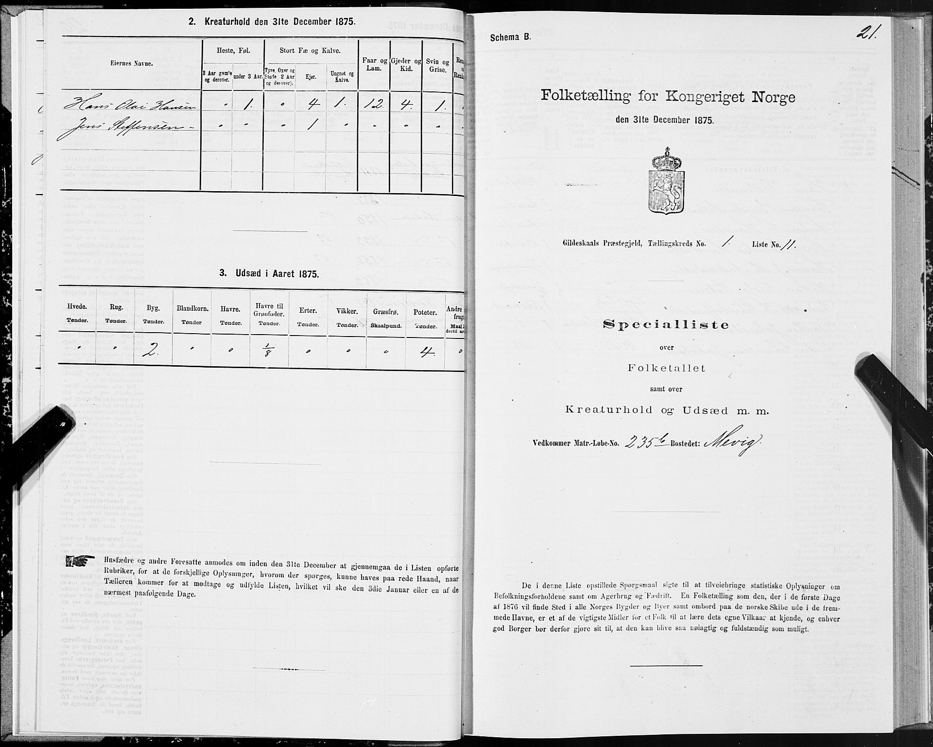 SAT, Folketelling 1875 for 1838P Gildeskål prestegjeld, 1875, s. 1021