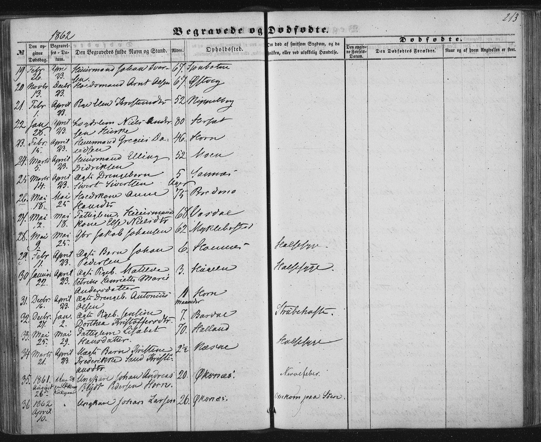 Ministerialprotokoller, klokkerbøker og fødselsregistre - Nordland, AV/SAT-A-1459/838/L0550: Ministerialbok nr. 838A08, 1855-1865, s. 213