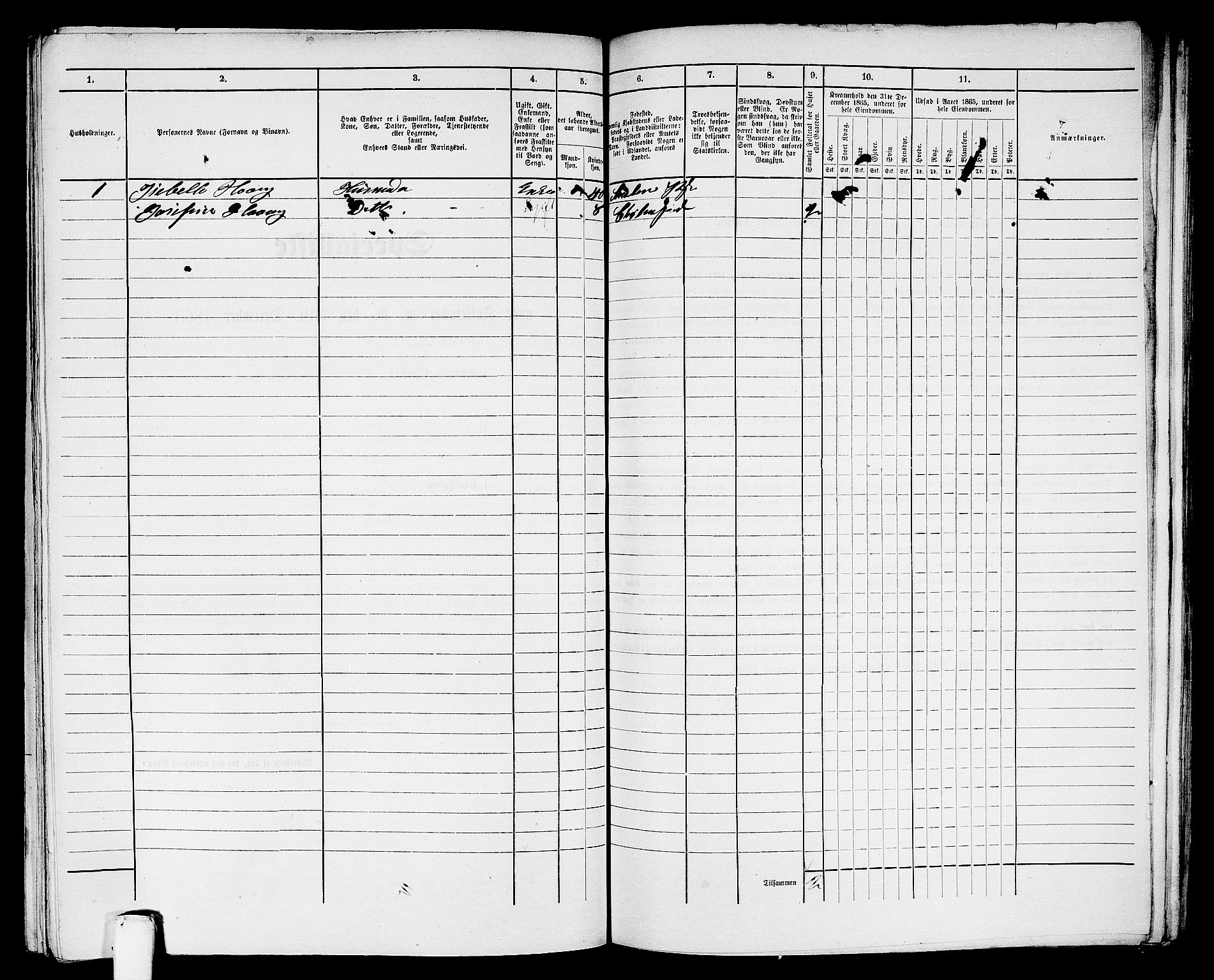 RA, Folketelling 1865 for 1503B Kristiansund prestegjeld, Kristiansund kjøpstad, 1865, s. 870