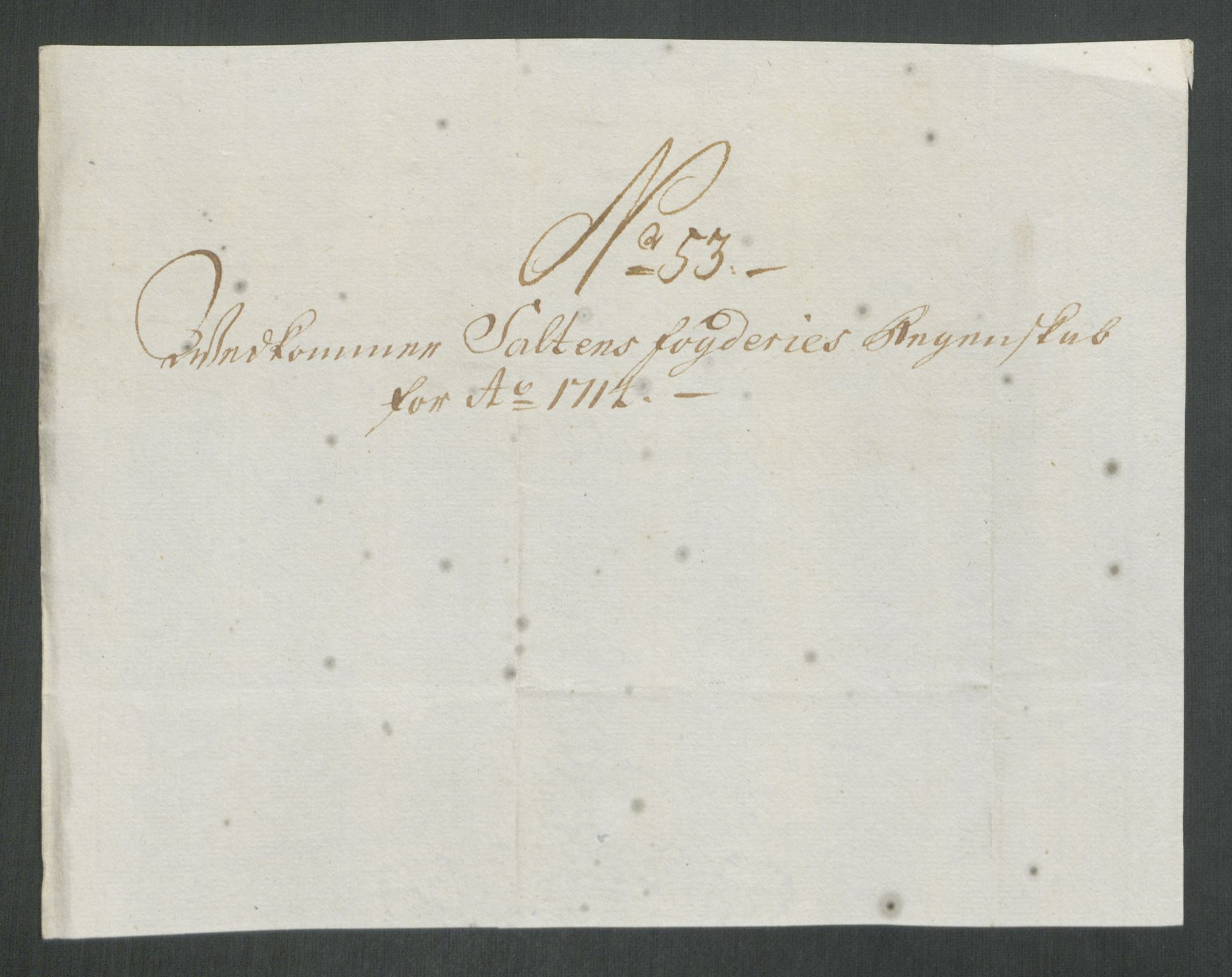 Rentekammeret inntil 1814, Reviderte regnskaper, Fogderegnskap, AV/RA-EA-4092/R66/L4584: Fogderegnskap Salten, 1714, s. 316