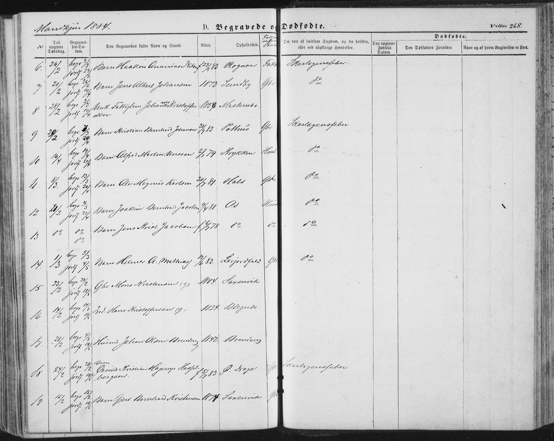 Ministerialprotokoller, klokkerbøker og fødselsregistre - Nordland, AV/SAT-A-1459/847/L0668: Ministerialbok nr. 847A08, 1872-1886, s. 268