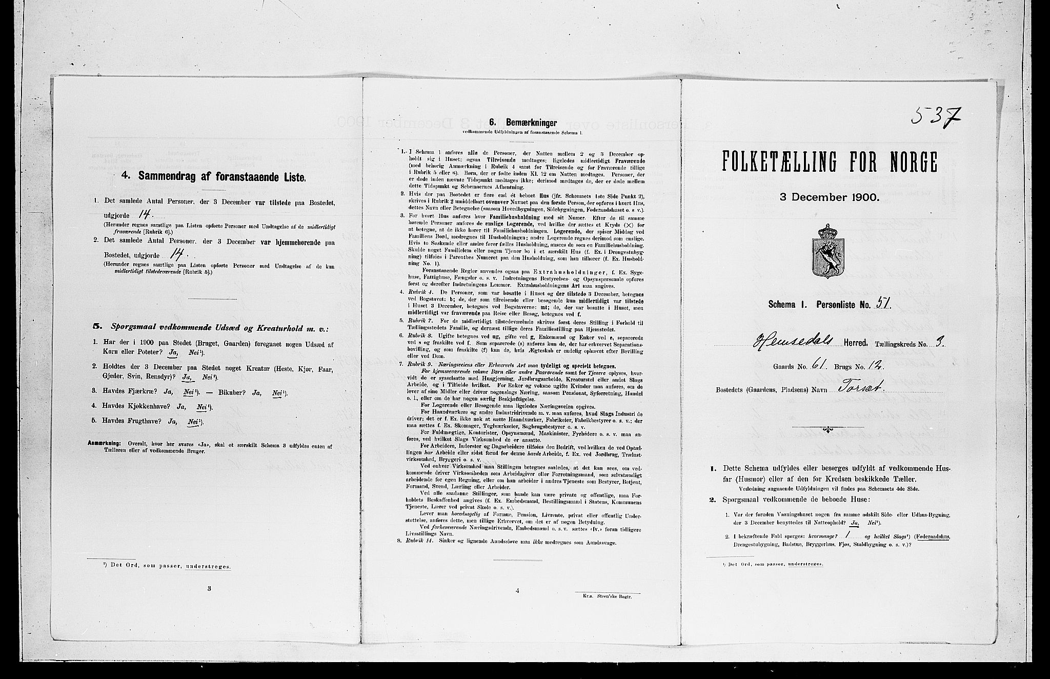 RA, Folketelling 1900 for 0618 Hemsedal herred, 1900, s. 221