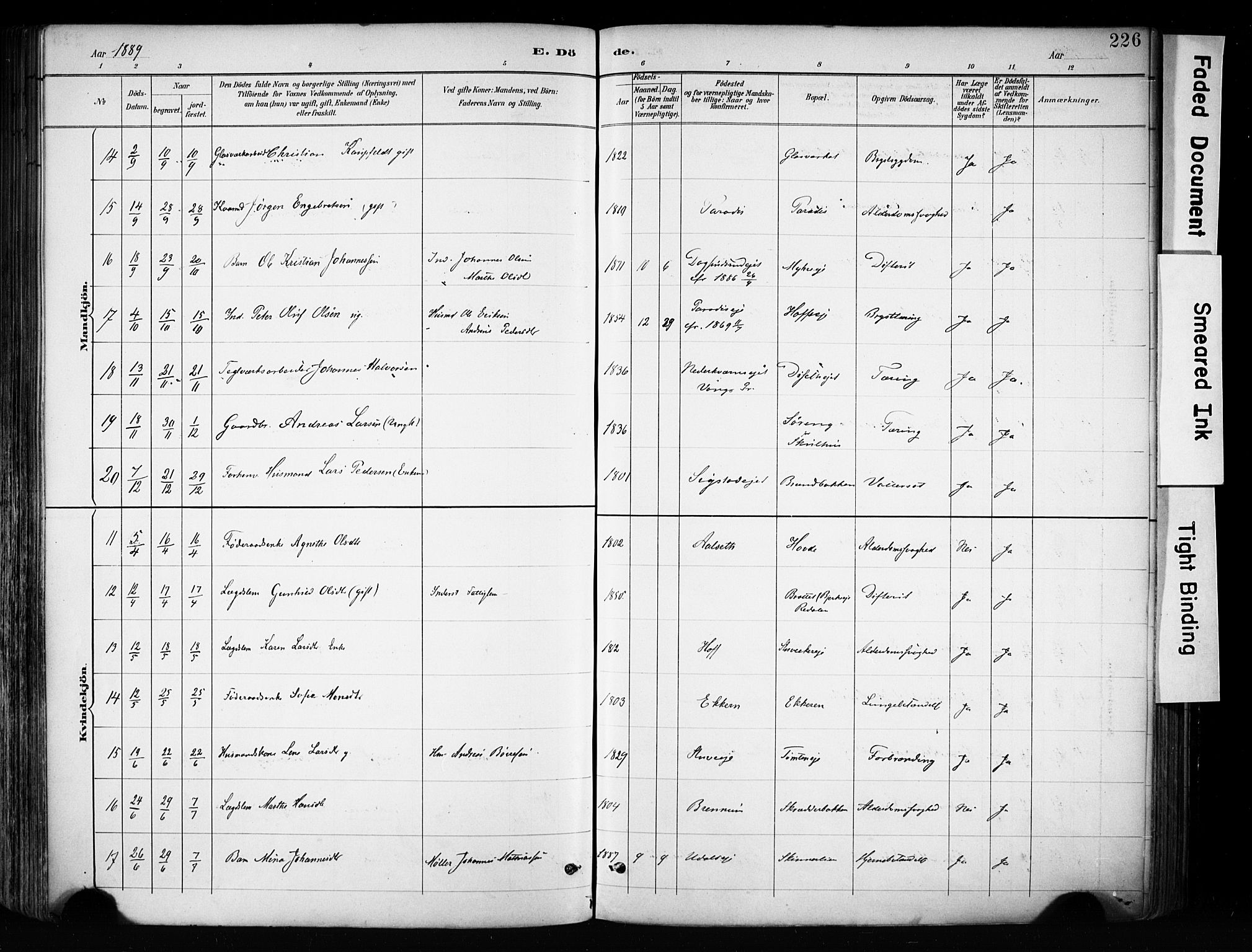 Biri prestekontor, AV/SAH-PREST-096/H/Ha/Haa/L0009: Ministerialbok nr. 9, 1887-1900, s. 226