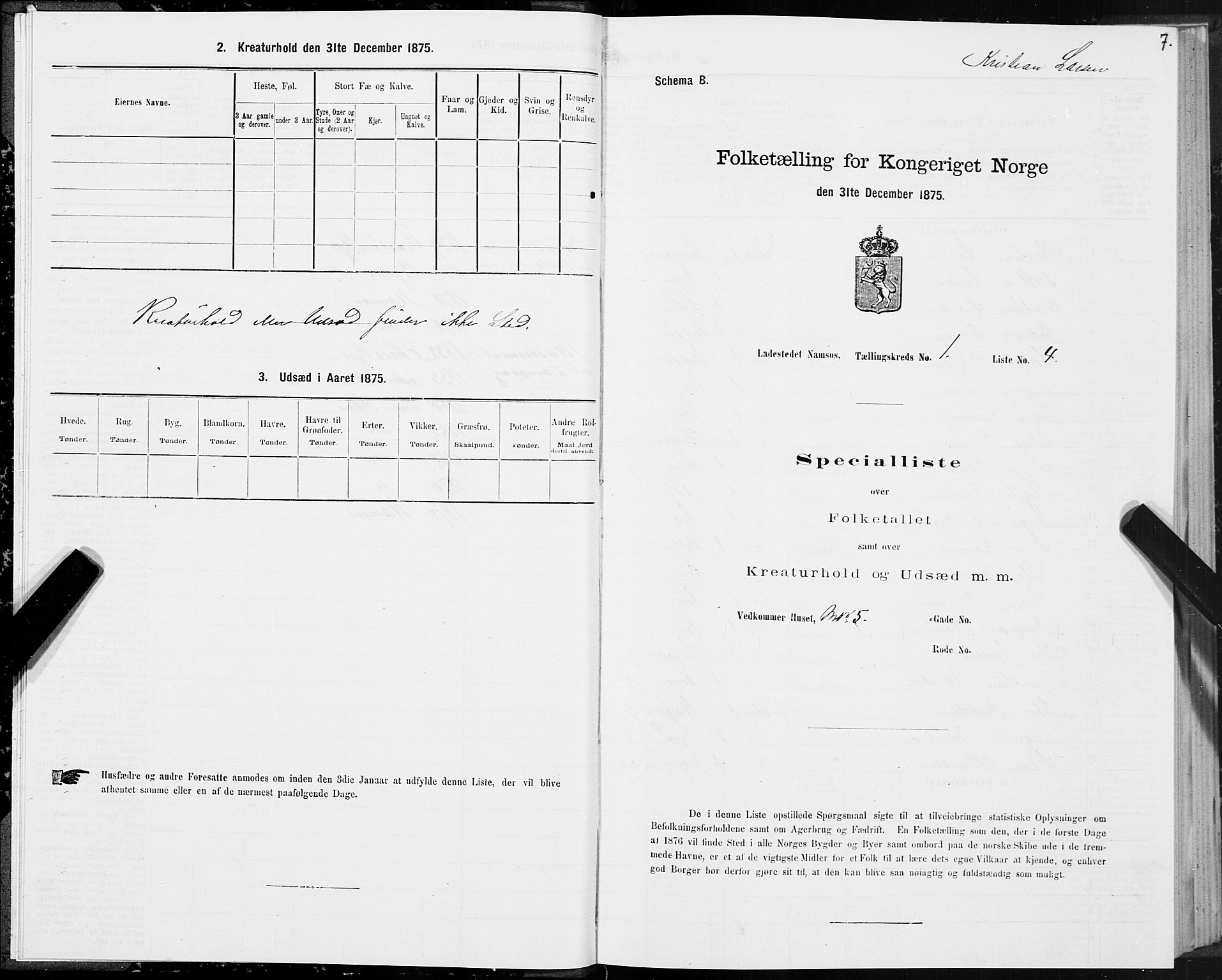 SAT, Folketelling 1875 for 1703B Namsos prestegjeld, Namsos ladested, 1875, s. 7