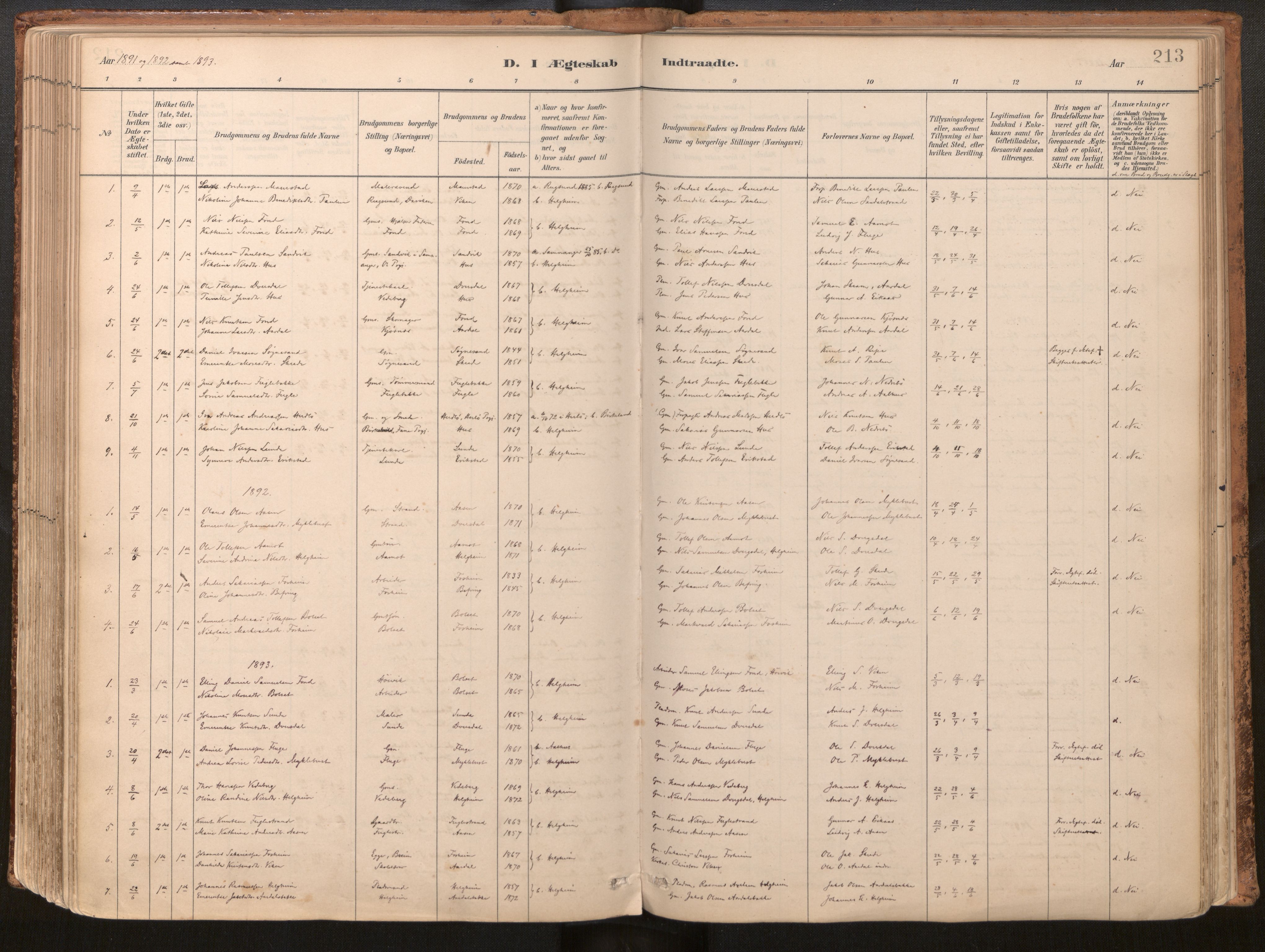 Jølster sokneprestembete, SAB/A-80701/H/Haa/Haac/L0001: Ministerialbok nr. C 1, 1882-1928, s. 213