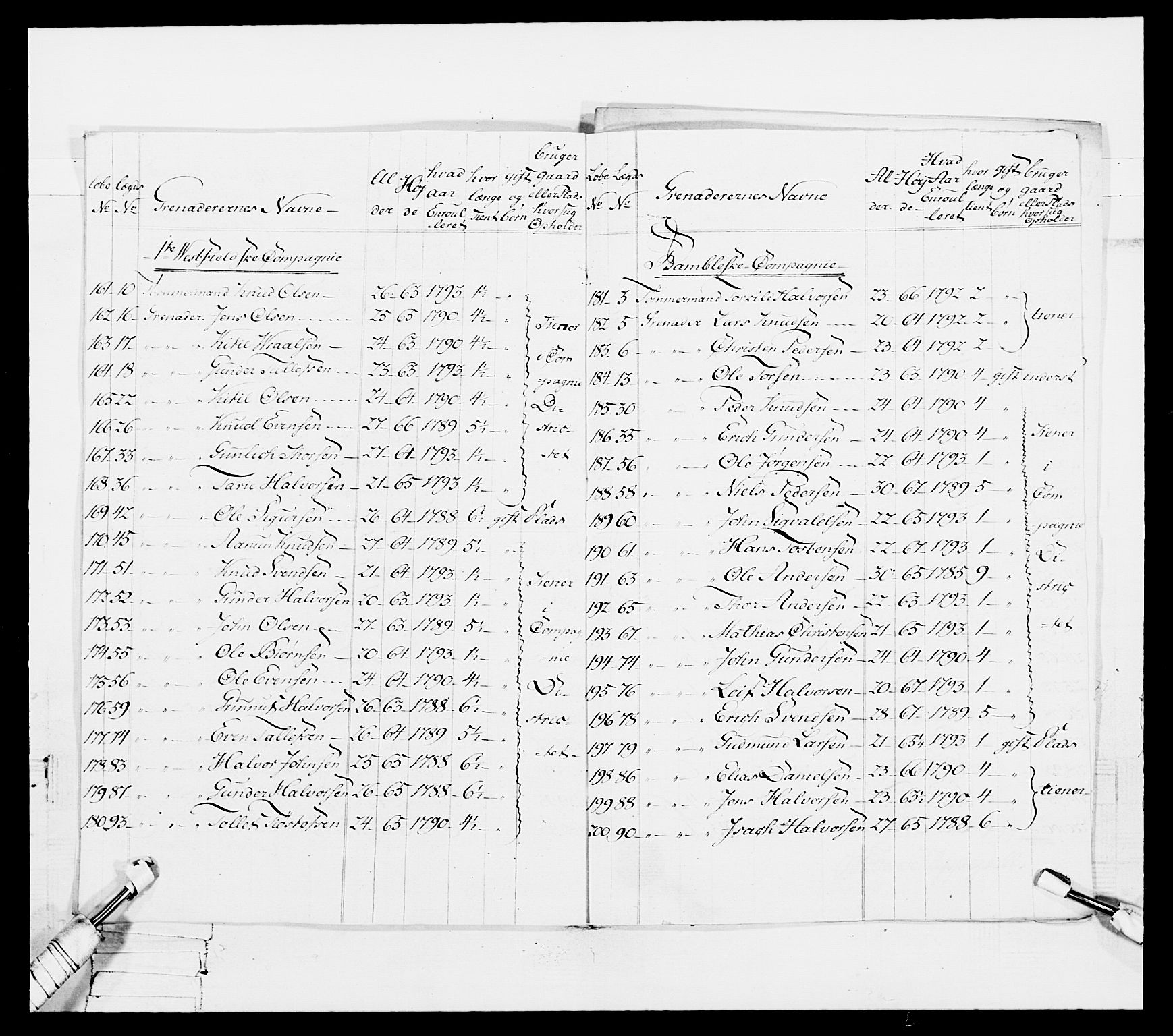 Generalitets- og kommissariatskollegiet, Det kongelige norske kommissariatskollegium, RA/EA-5420/E/Eh/L0114: Telemarkske nasjonale infanteriregiment, 1789-1802, s. 83