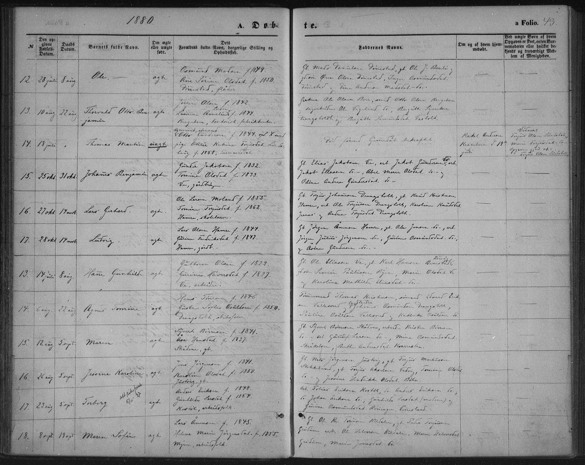 Tveit sokneprestkontor, AV/SAK-1111-0043/F/Fa/L0006: Ministerialbok nr. A 6, 1872-1886, s. 43