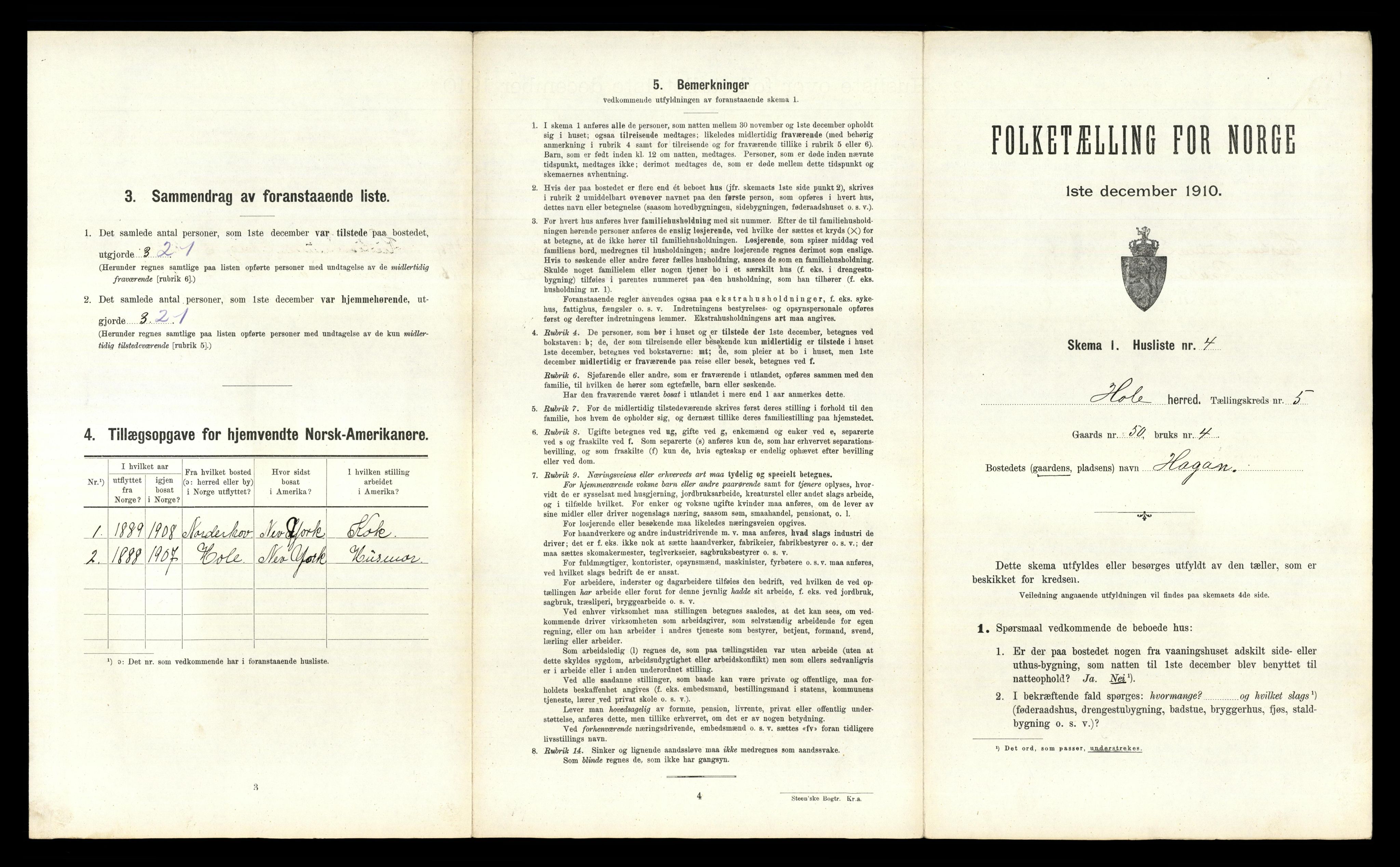 RA, Folketelling 1910 for 0612 Hole herred, 1910, s. 710